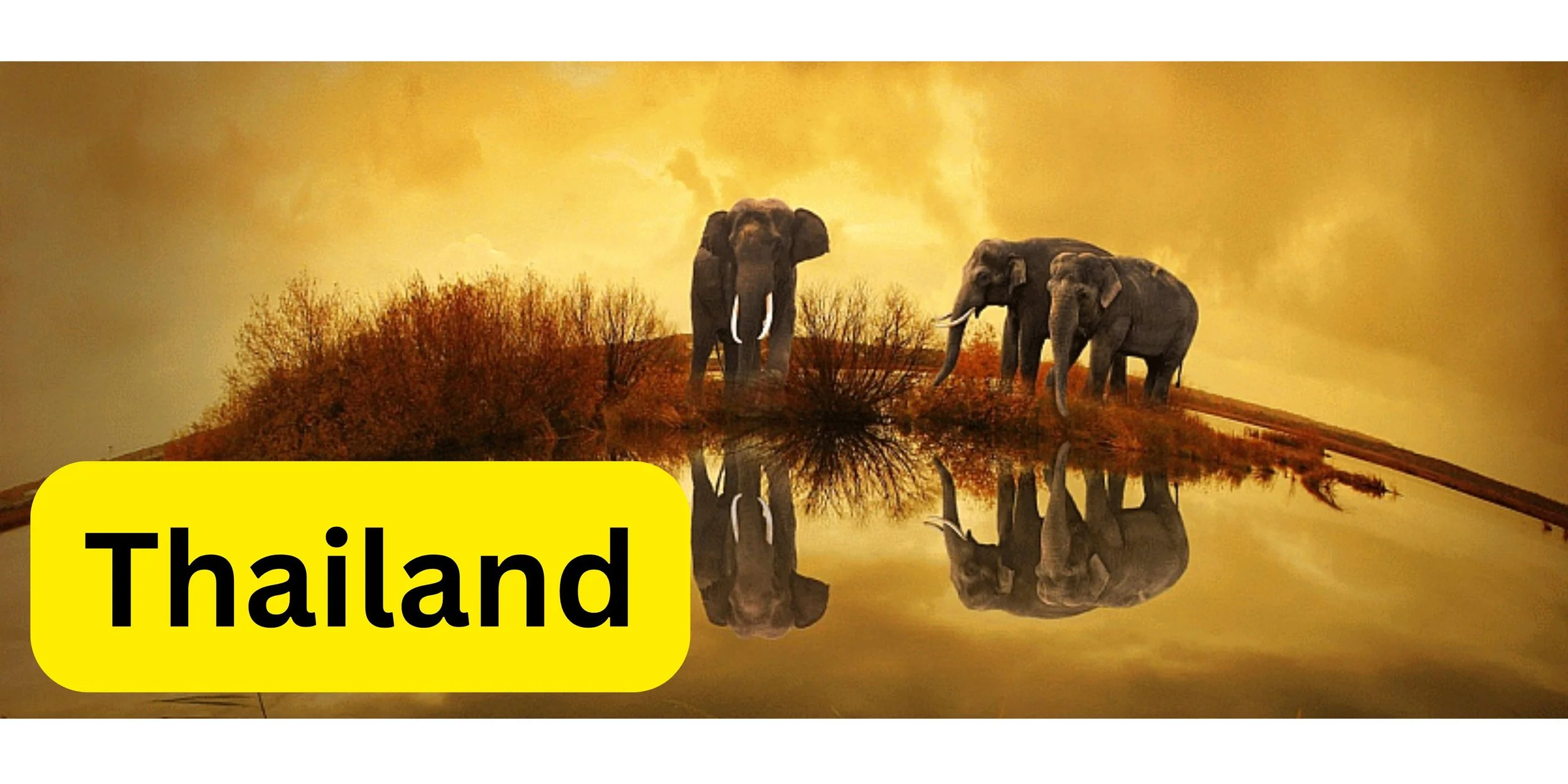Thailand with text.jpg