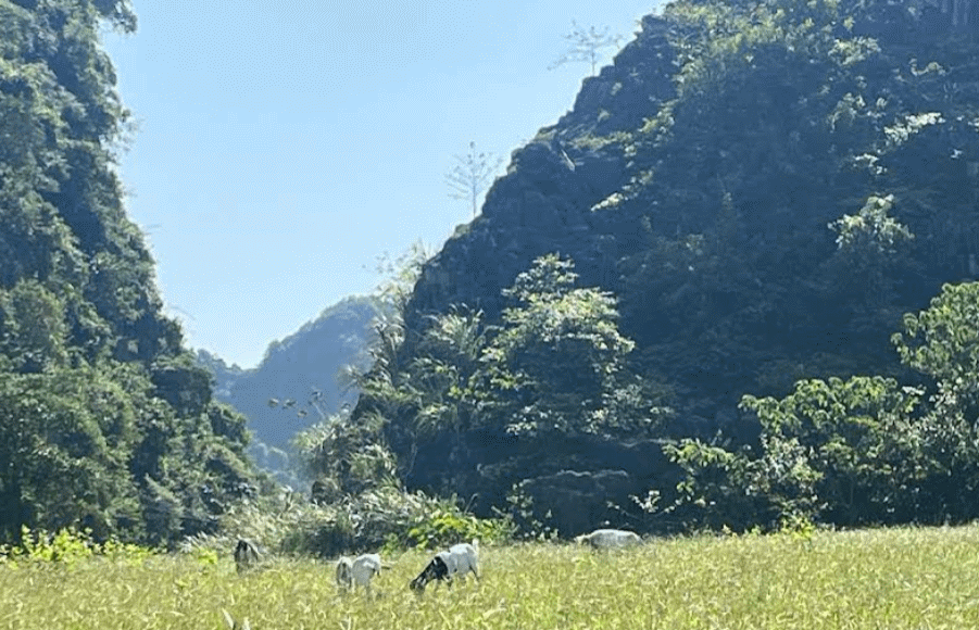 Hanoi private car transfer service 4.gif