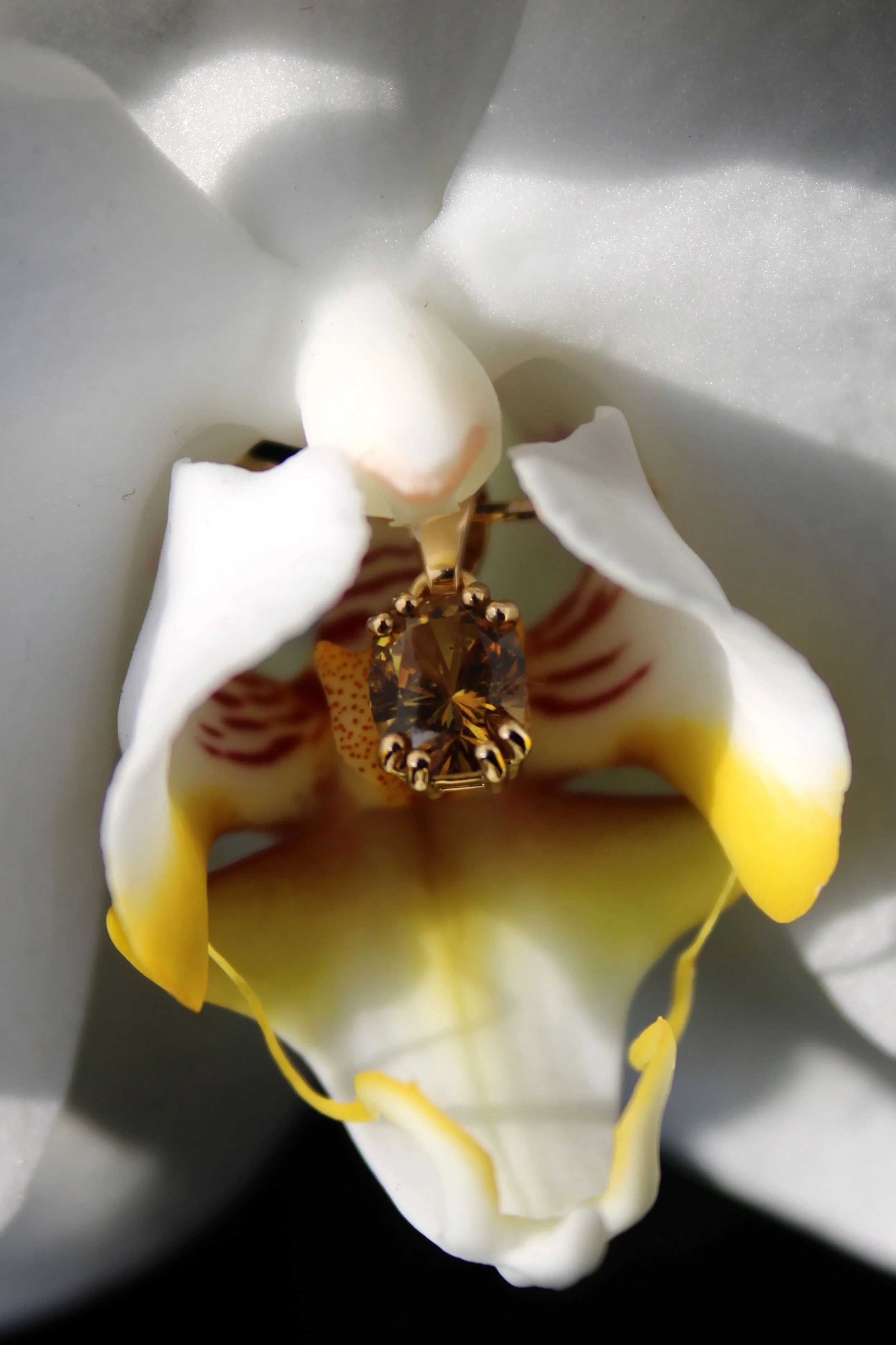 Une orchidée blanche et jaune avec une bague dorée portant une pierre précieuse suspendue au centre de la fleur.