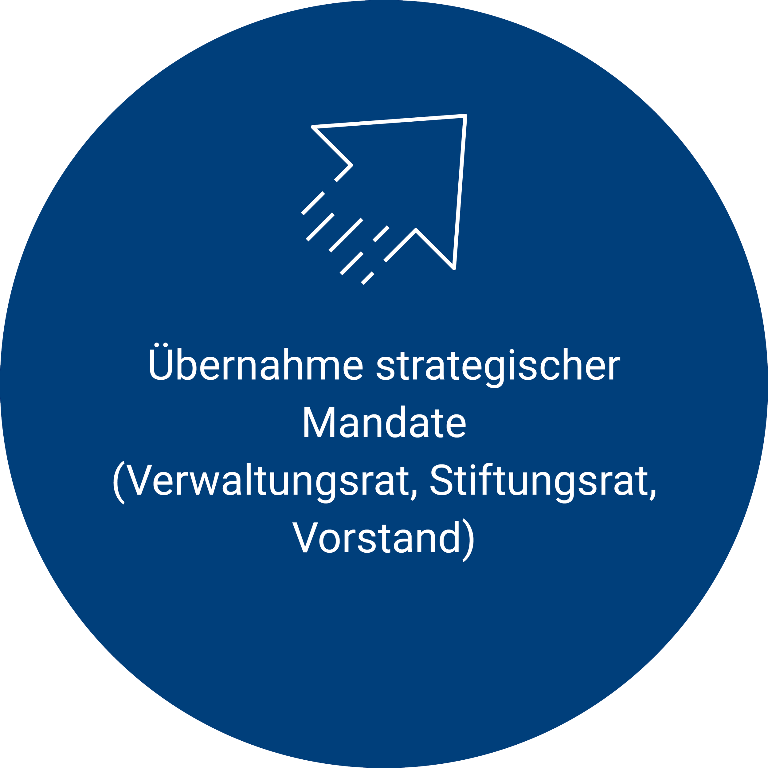 Stephan Bachnann, Luzern – Übernahme strategischer Mandate (Verwaltungsrat, Stiftungsrat, Vorstand)