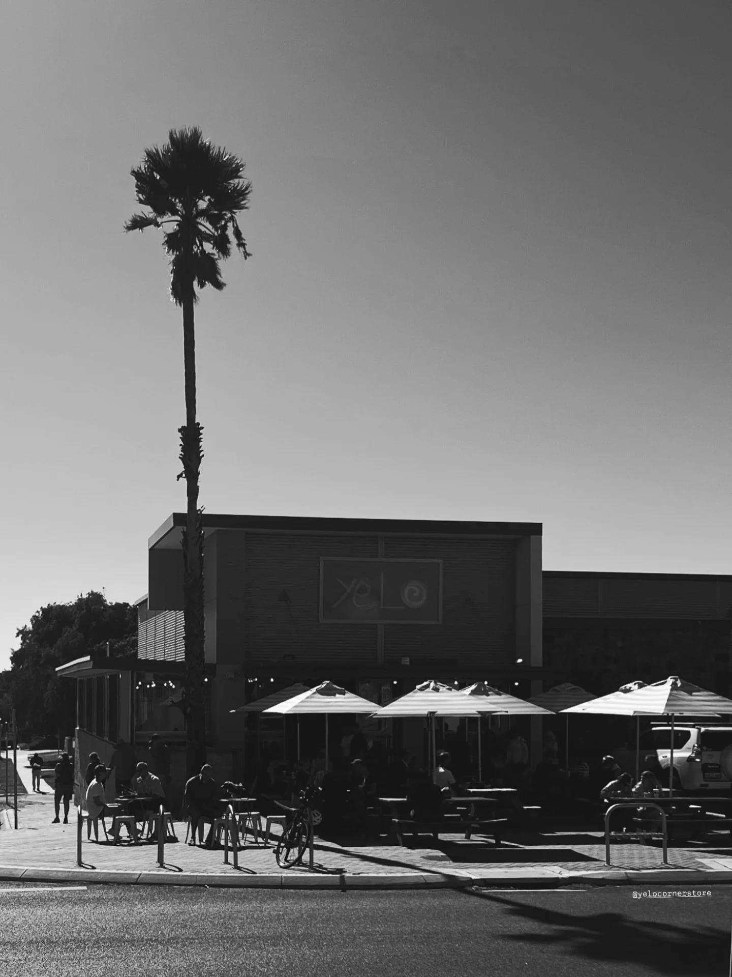 📸 @photographybylillyrose