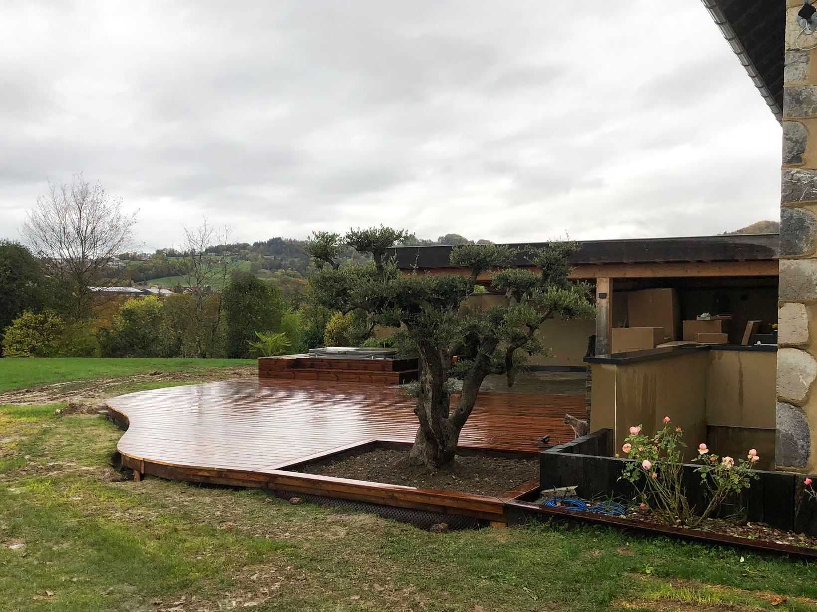 Un jardin arrière avec une terrasse en bois récemment construite, un arbre taillé et un parterre de fleurs avec des roses roses.