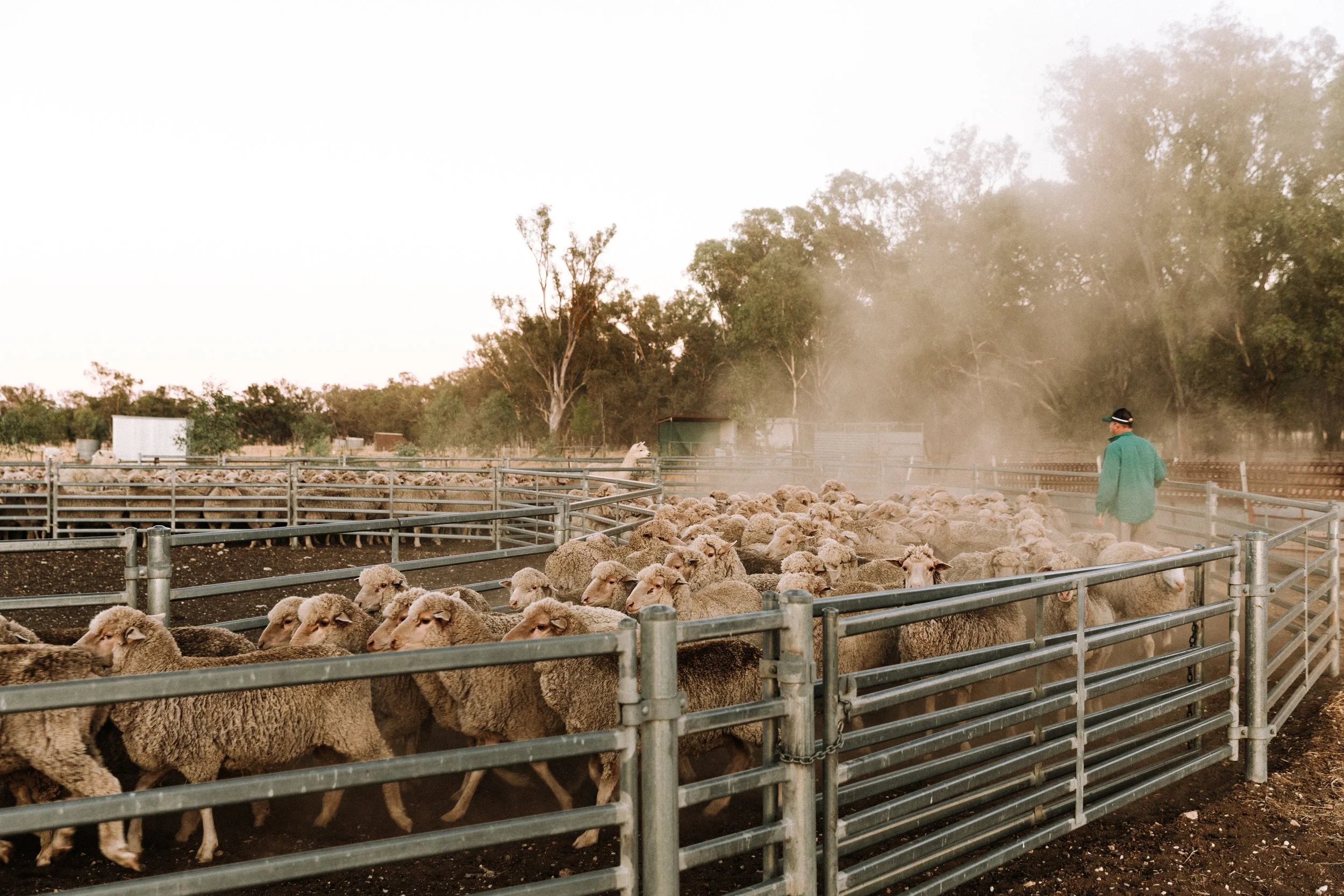 An interview with Martin Salzke, Jindera NSW&nbsp;