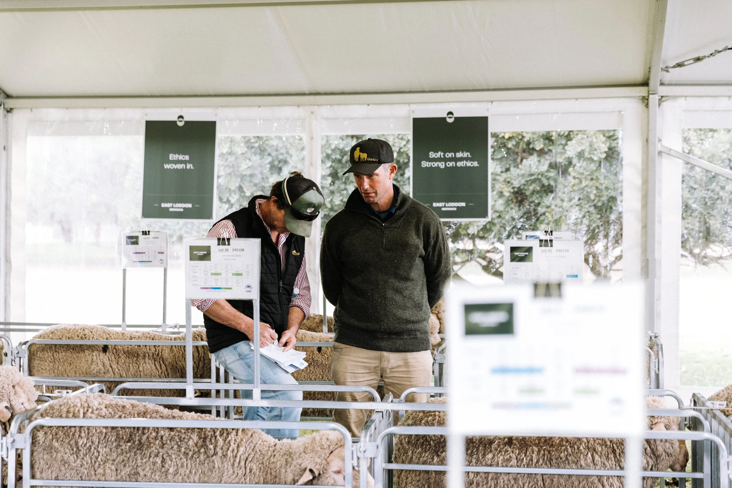 An interview with    Jim Meckiff,                 JM Livestock