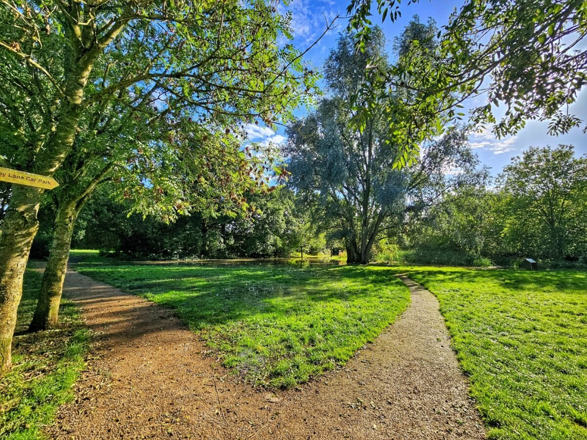 5 Things to do on a sunday - burbage common