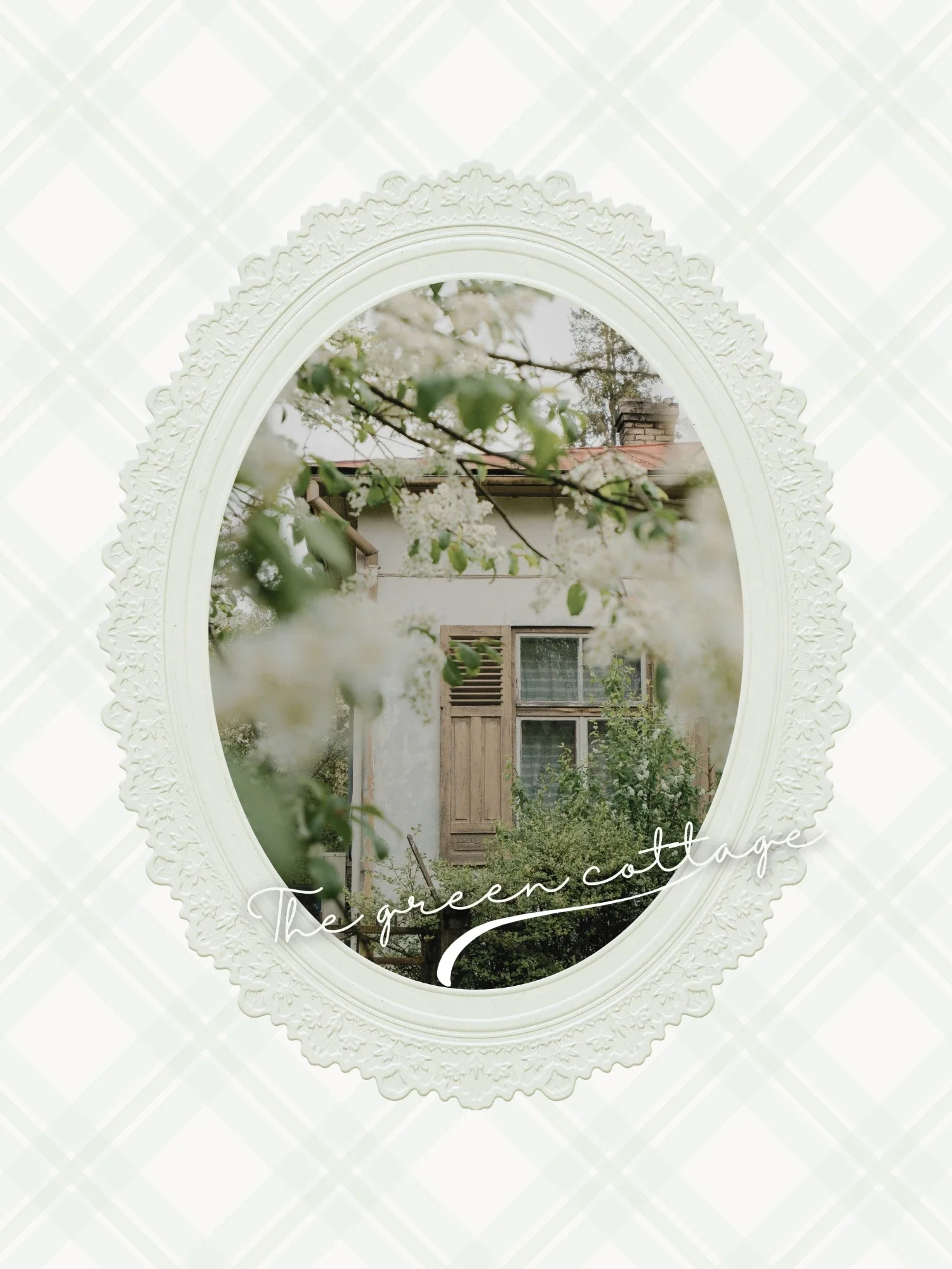 Vacation Rental Social Media
