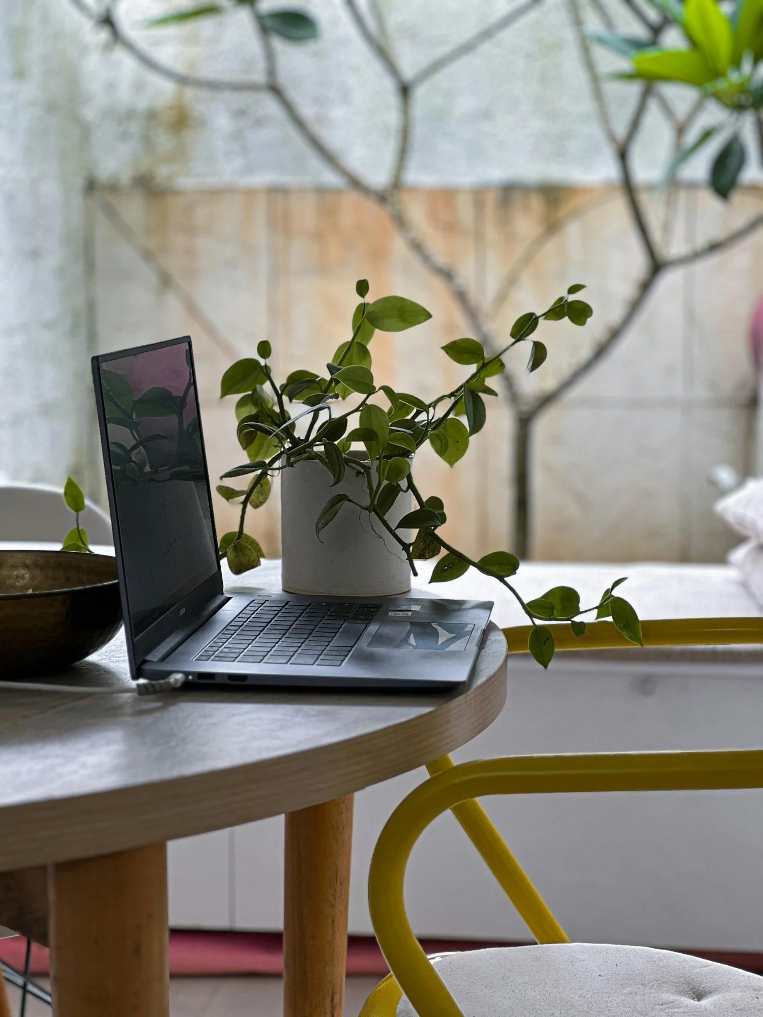 Modern Home Office Setup with Laptop and Plants