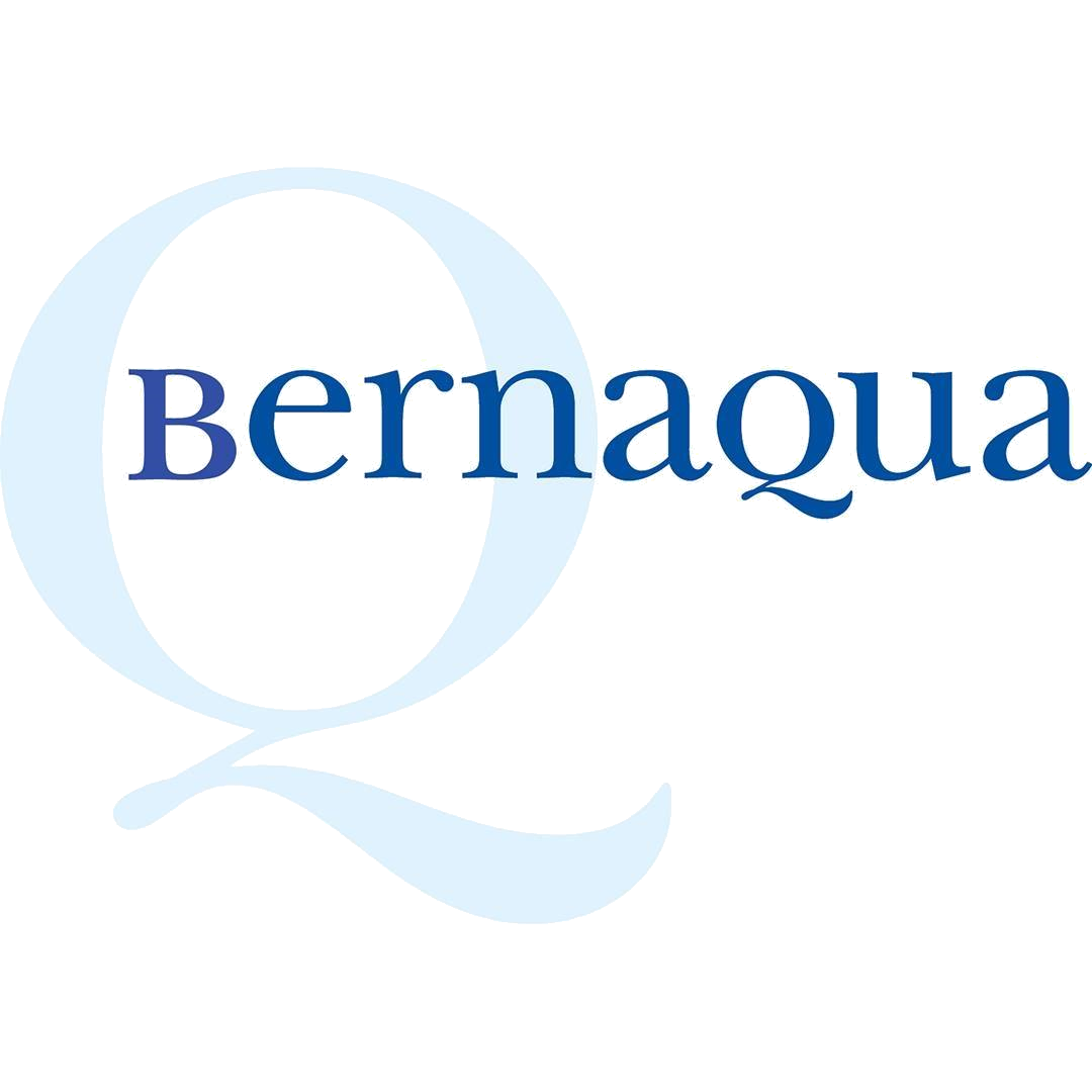 Logo Referenzkunde Bernaqua – Wildbach und Spraypark von API WATER FUN GmbH