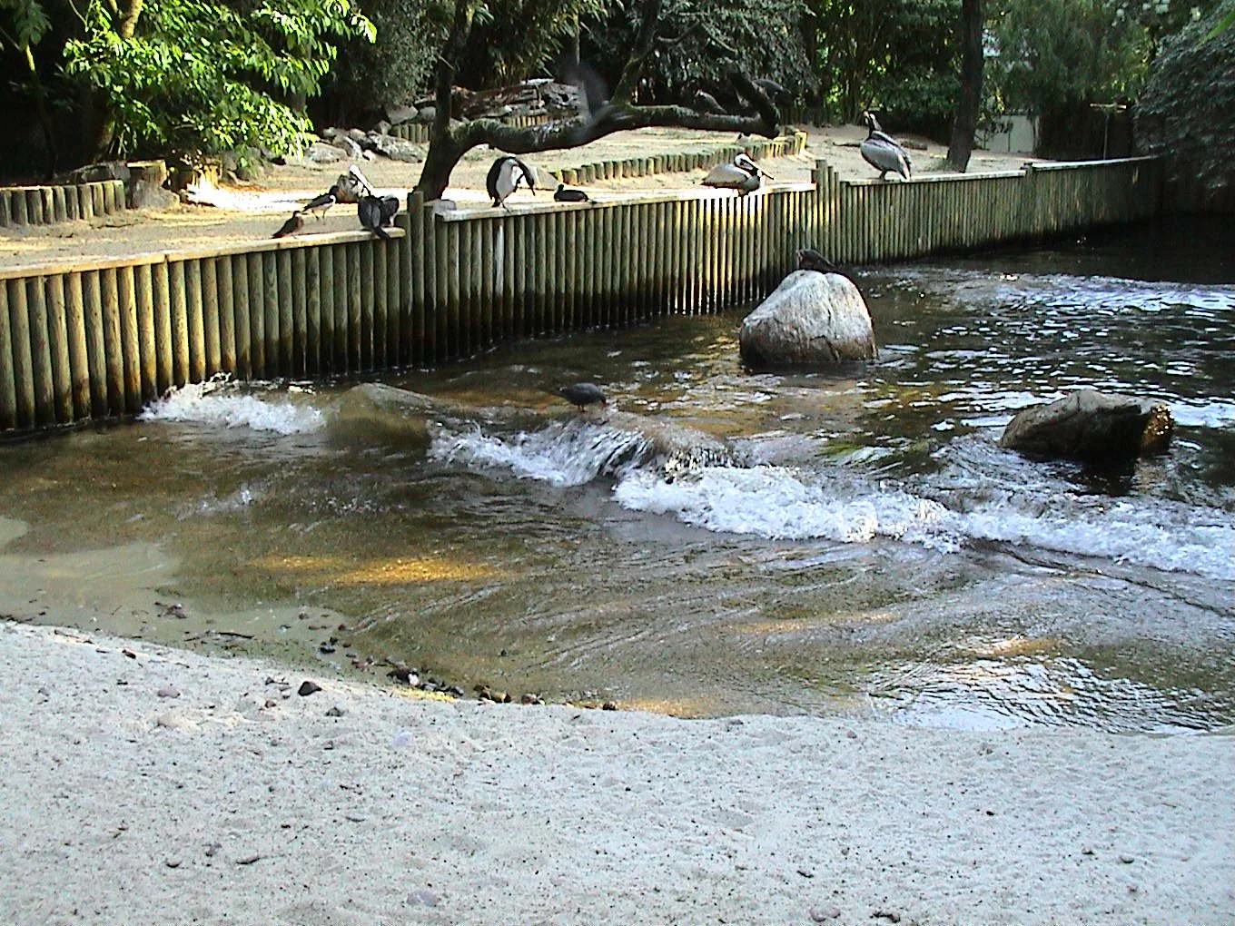 Weltvogelpark Walsrode, DE, mit API WAVES® ZOO