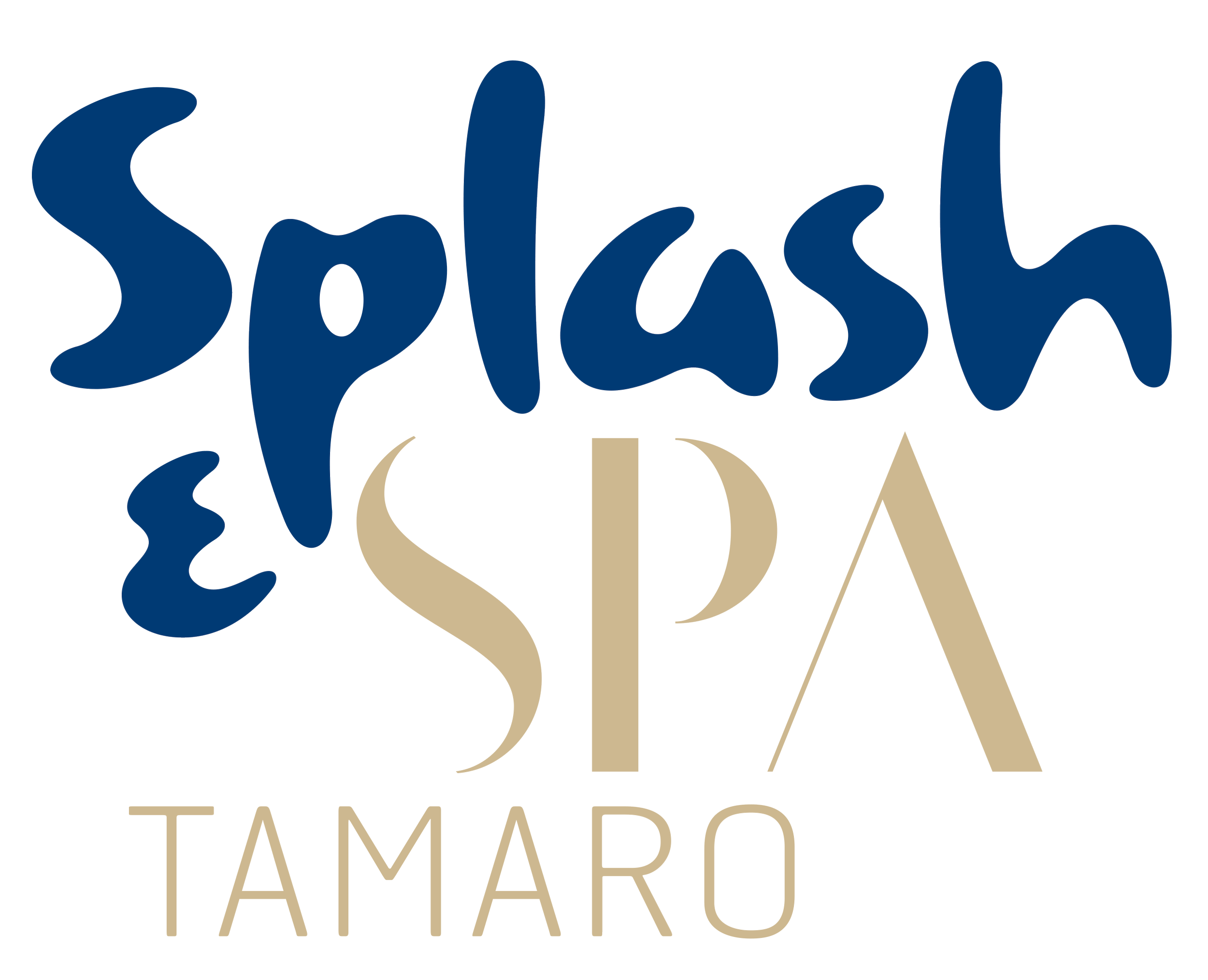 Logo ReferenzkundeSplash & SPA Tamaro – Wasserattraktionen von API WATER FUN GmbH