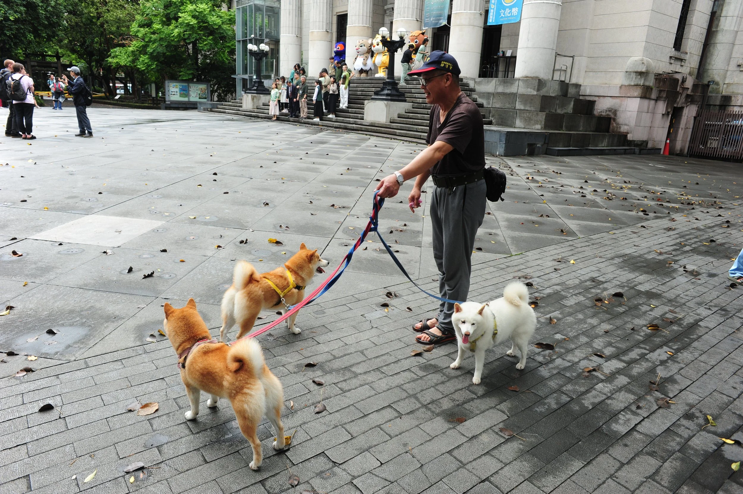 National Taiwan Museum