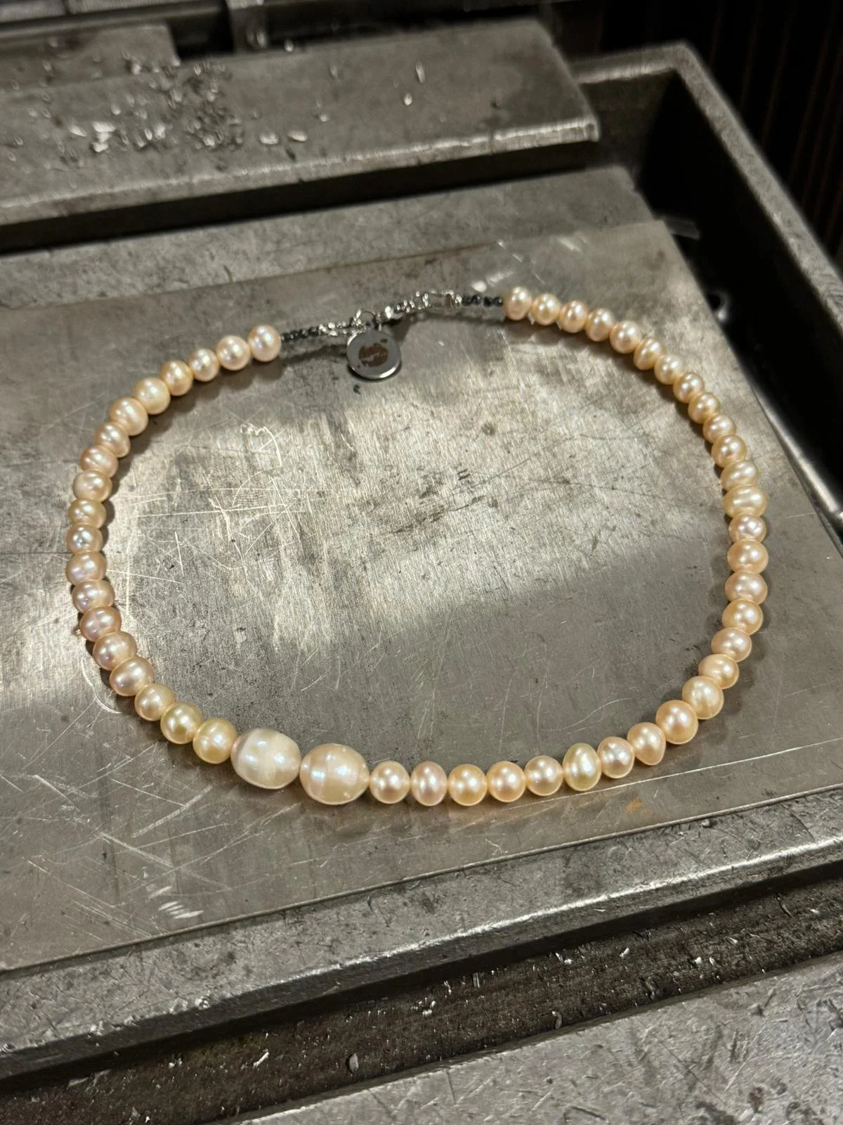 WhatsApp Image 2026-02-13 at 11.20.10.jpeg