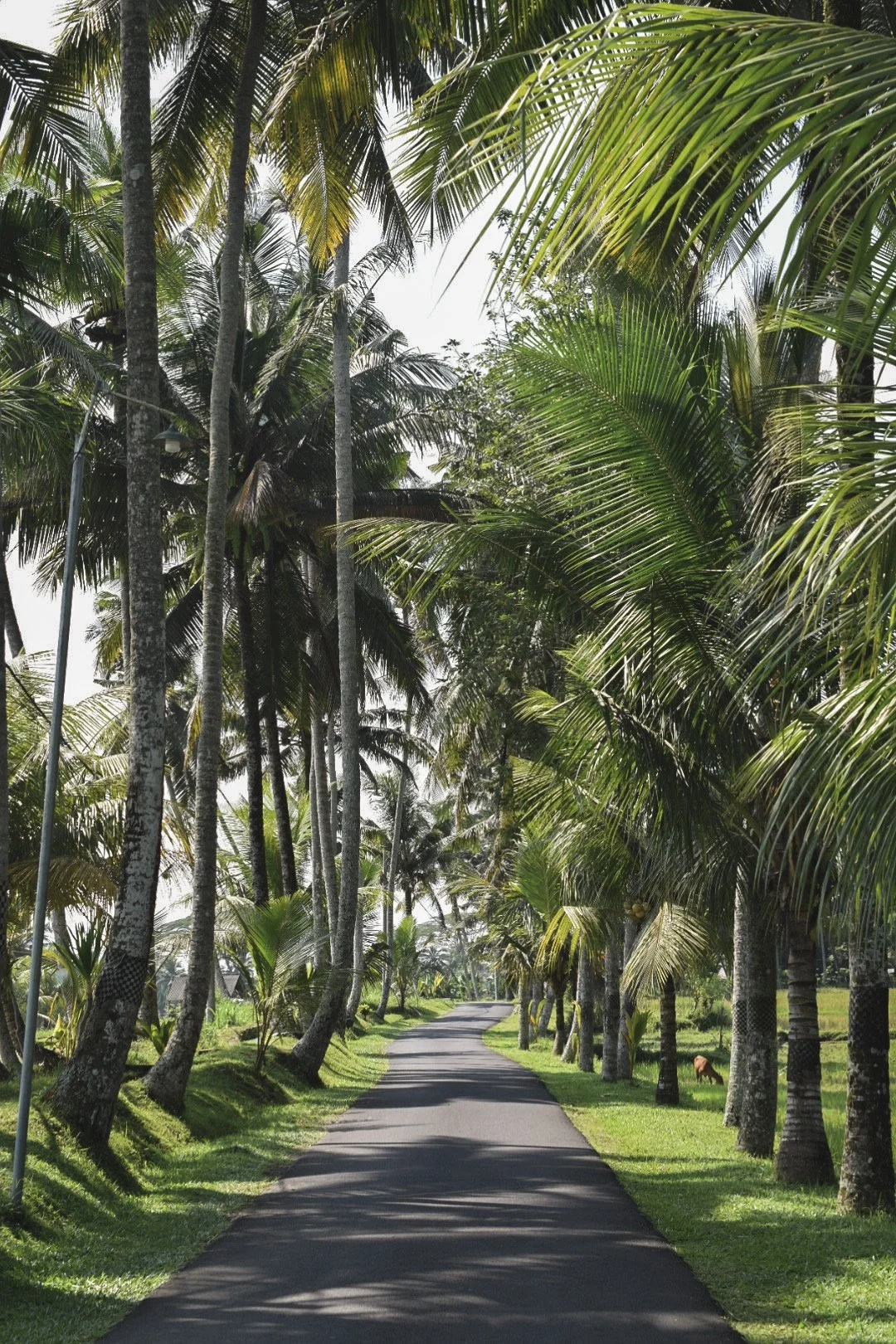 Amikor lassan megszólal a hangom