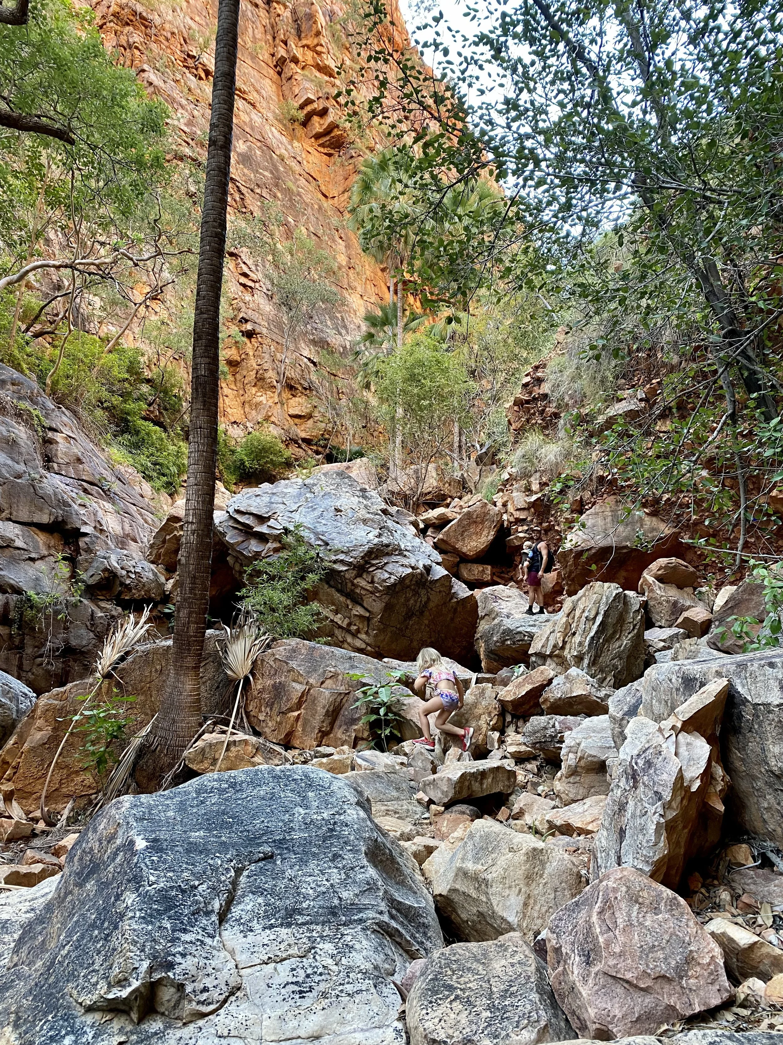 circadian kids community