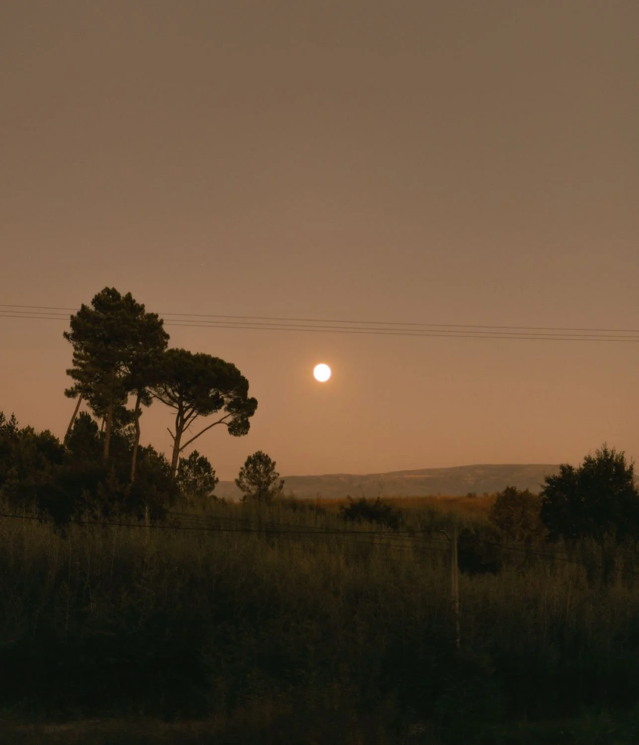 Moonlight over the elephant's foot