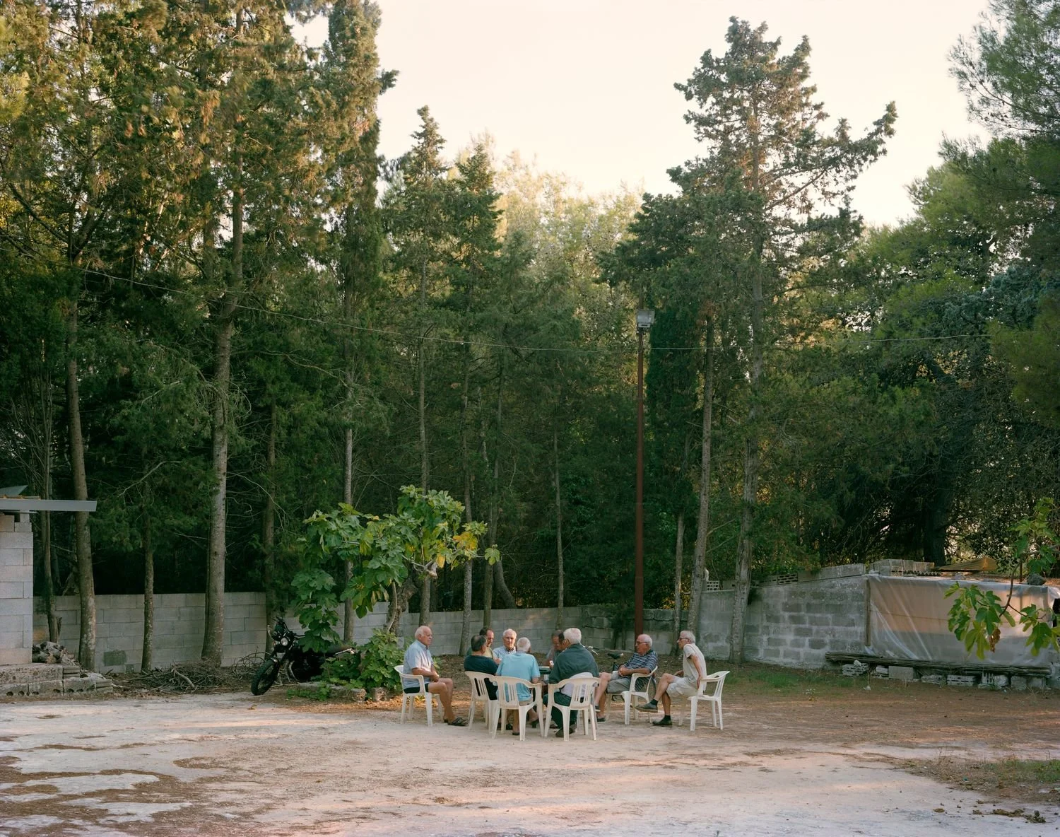 Men playing cards