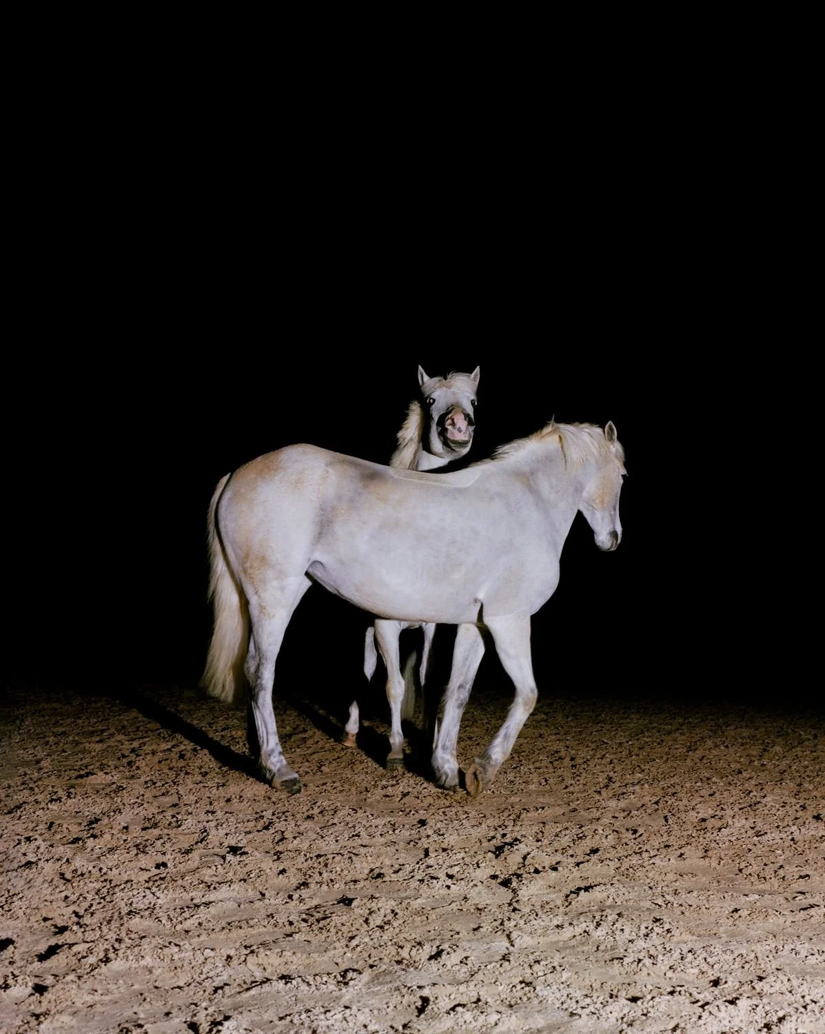 Chimera