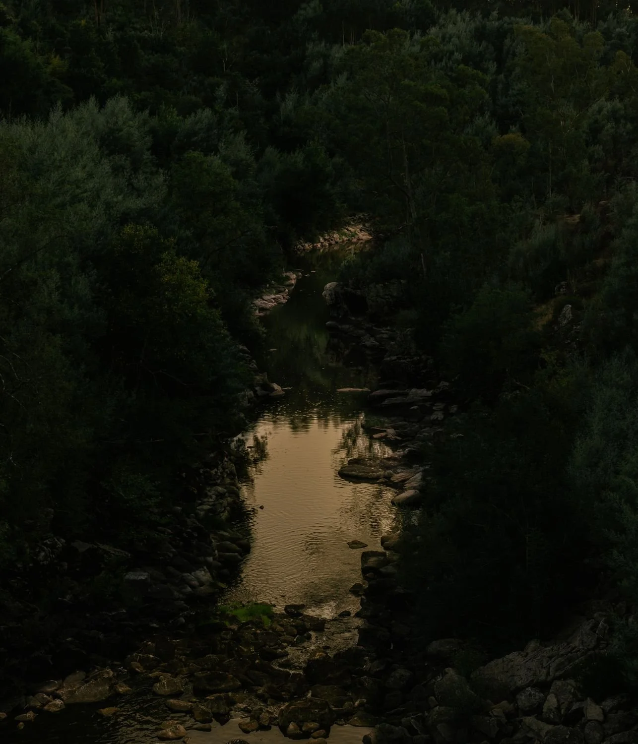 Dusk by the Mondego River