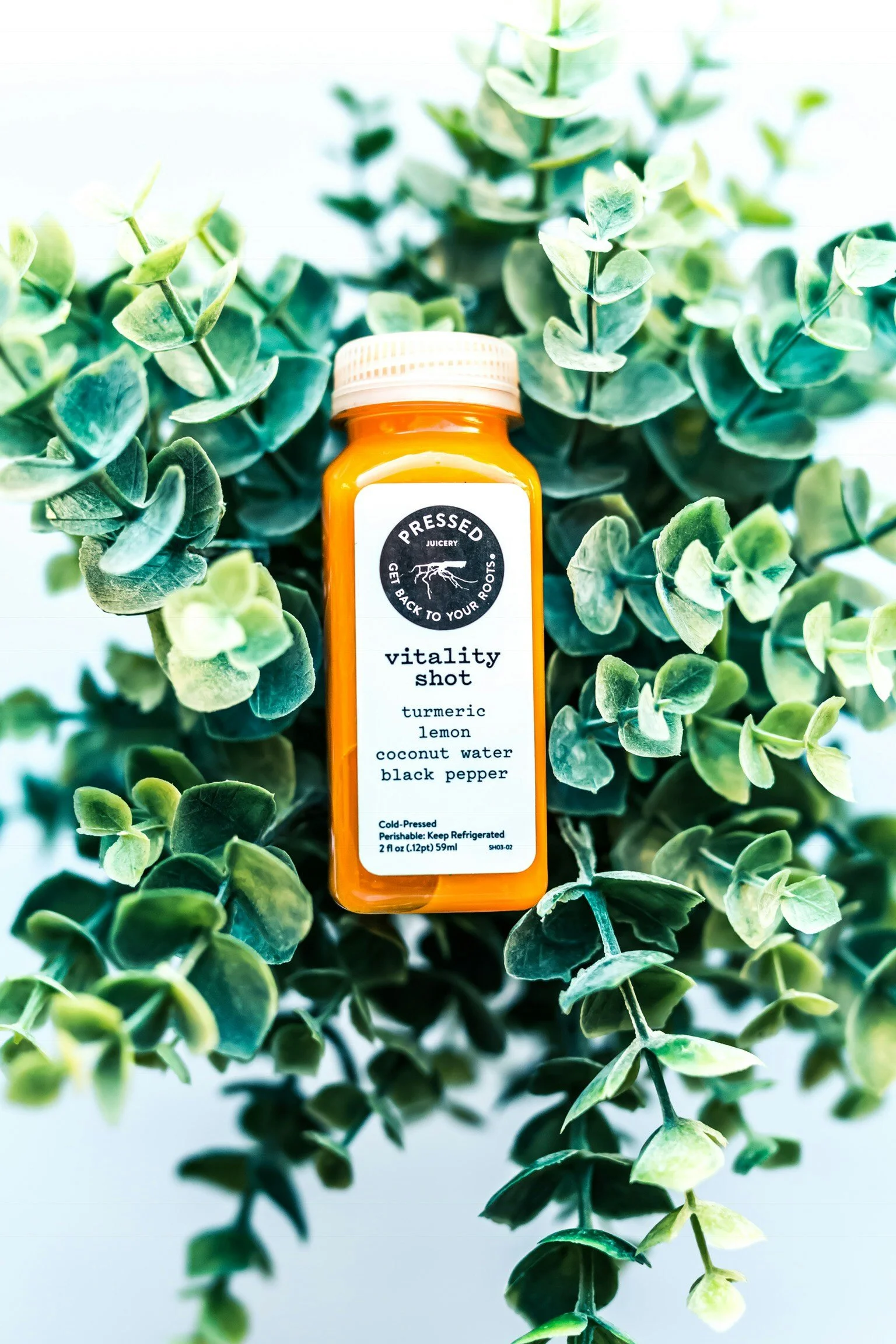 healthy ginger drink on green leaves