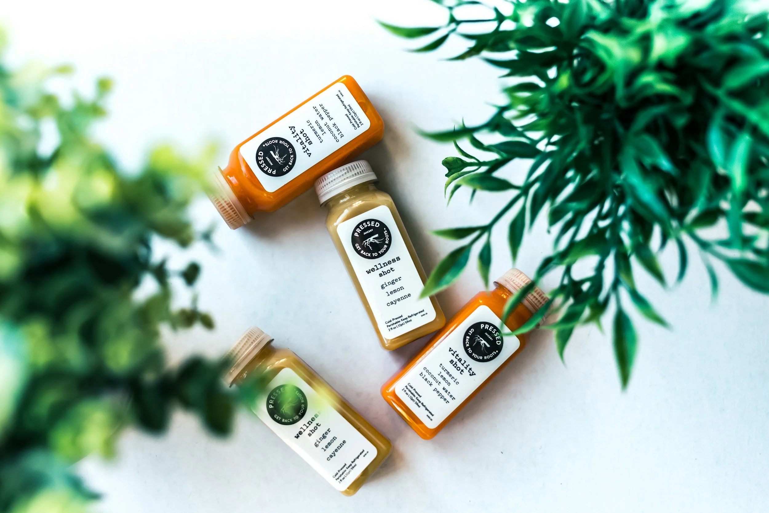 four healthy ginger shots on white background with natural greens