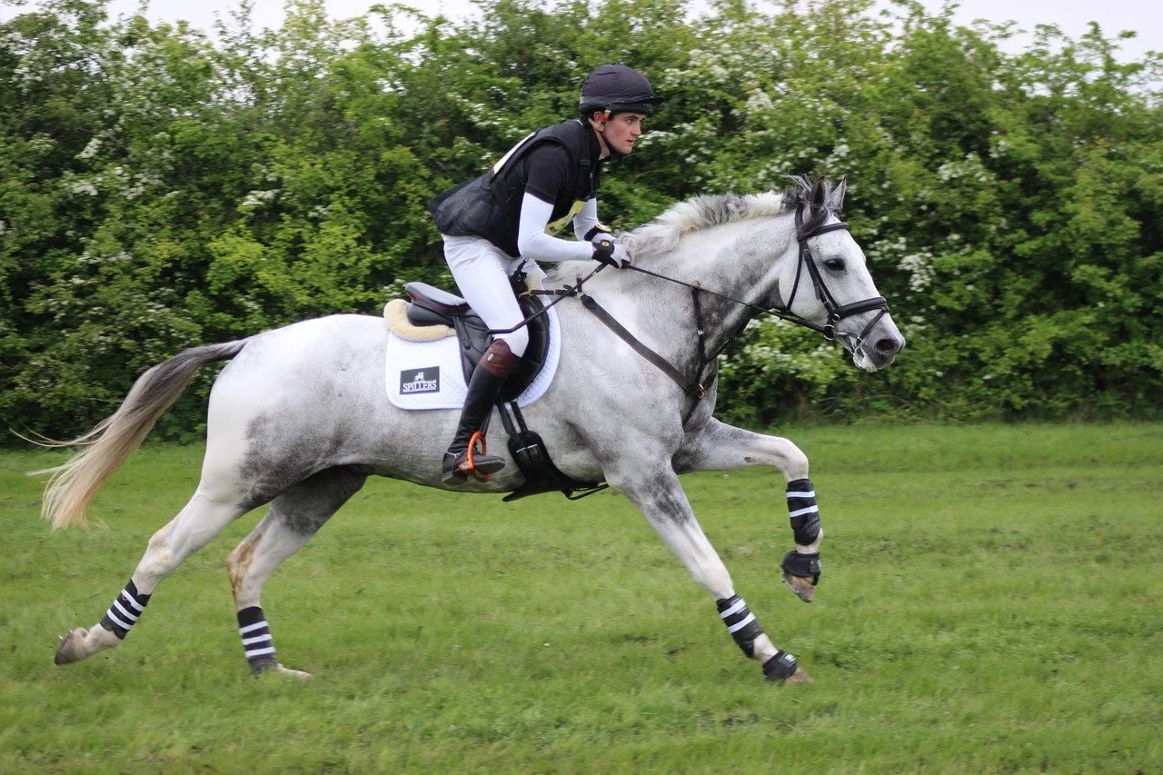grey horse with rider galloping on cross country course