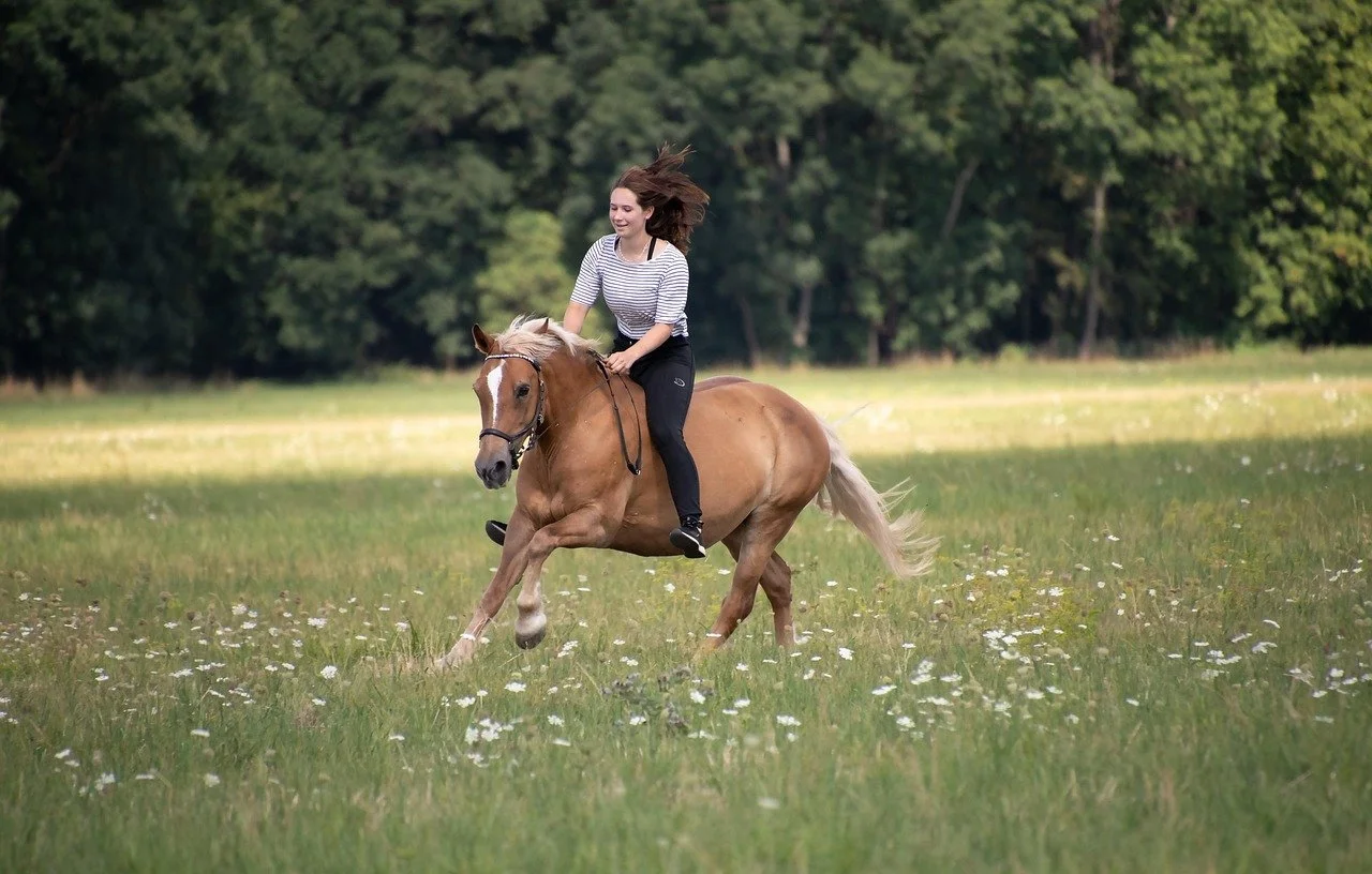 girl riding her pony in open fields bareback