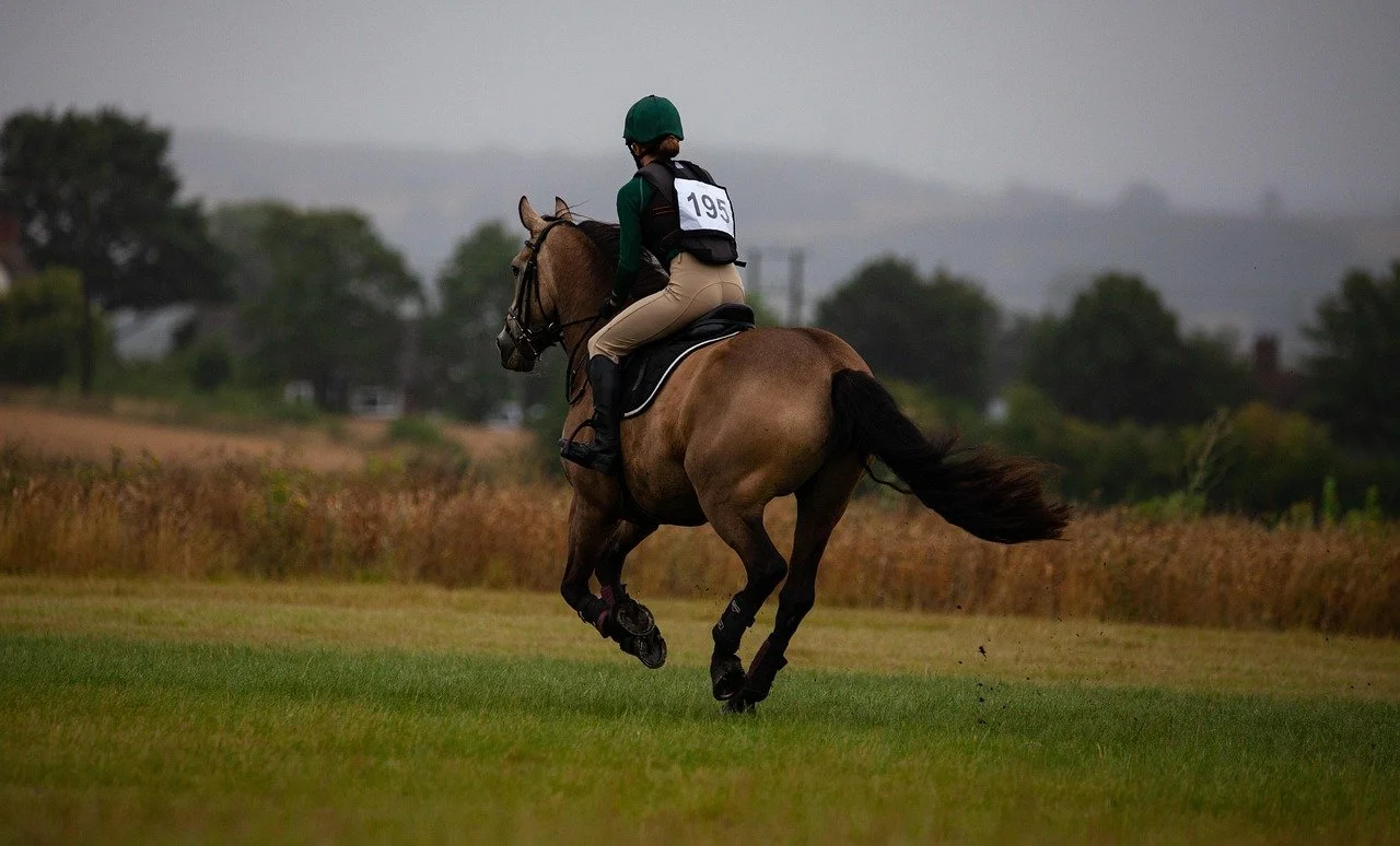 cross country rider galloping off in the distance on bay horse