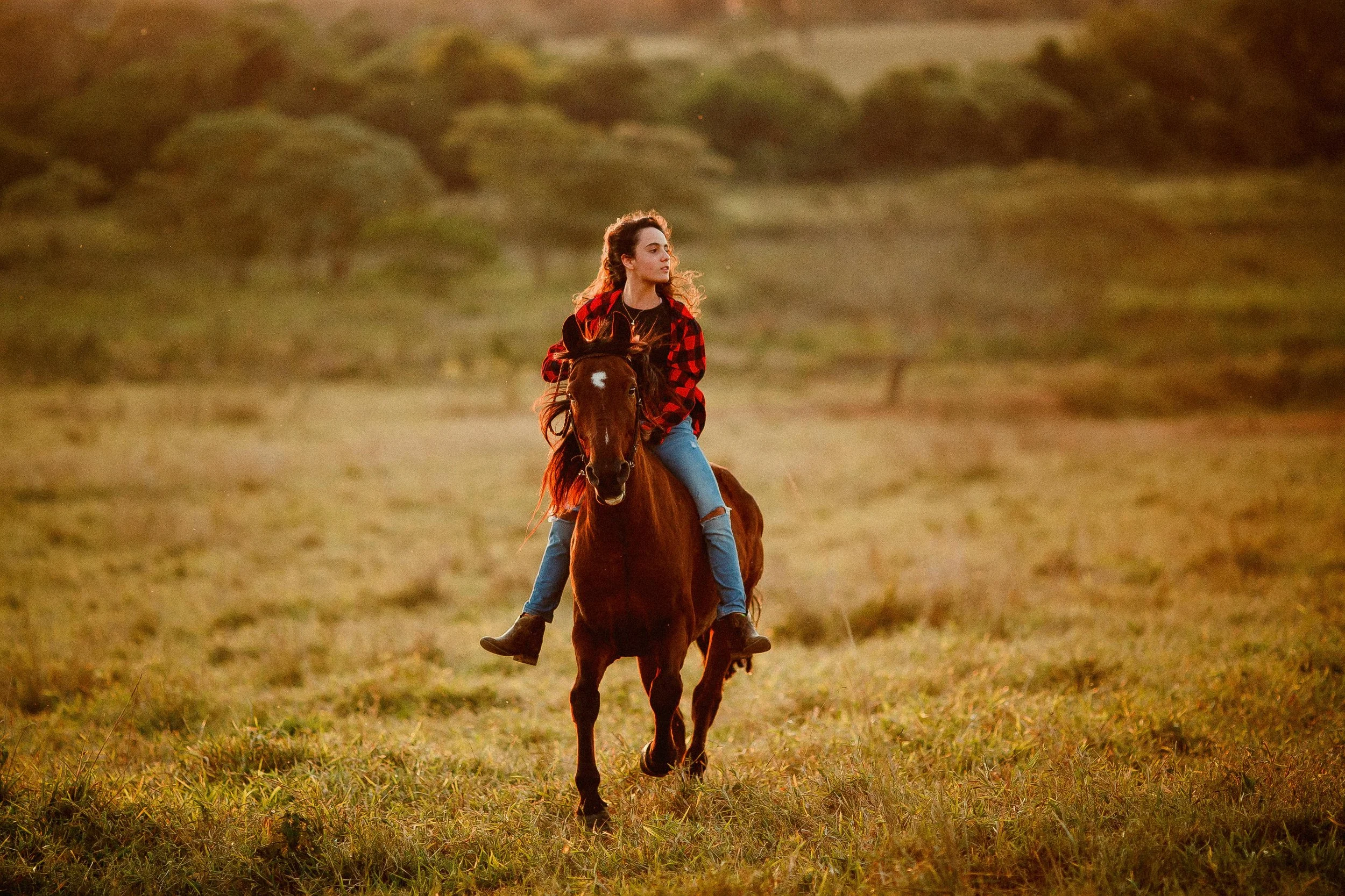 girl in checked shirt rides her horse barback in open fields in the evening