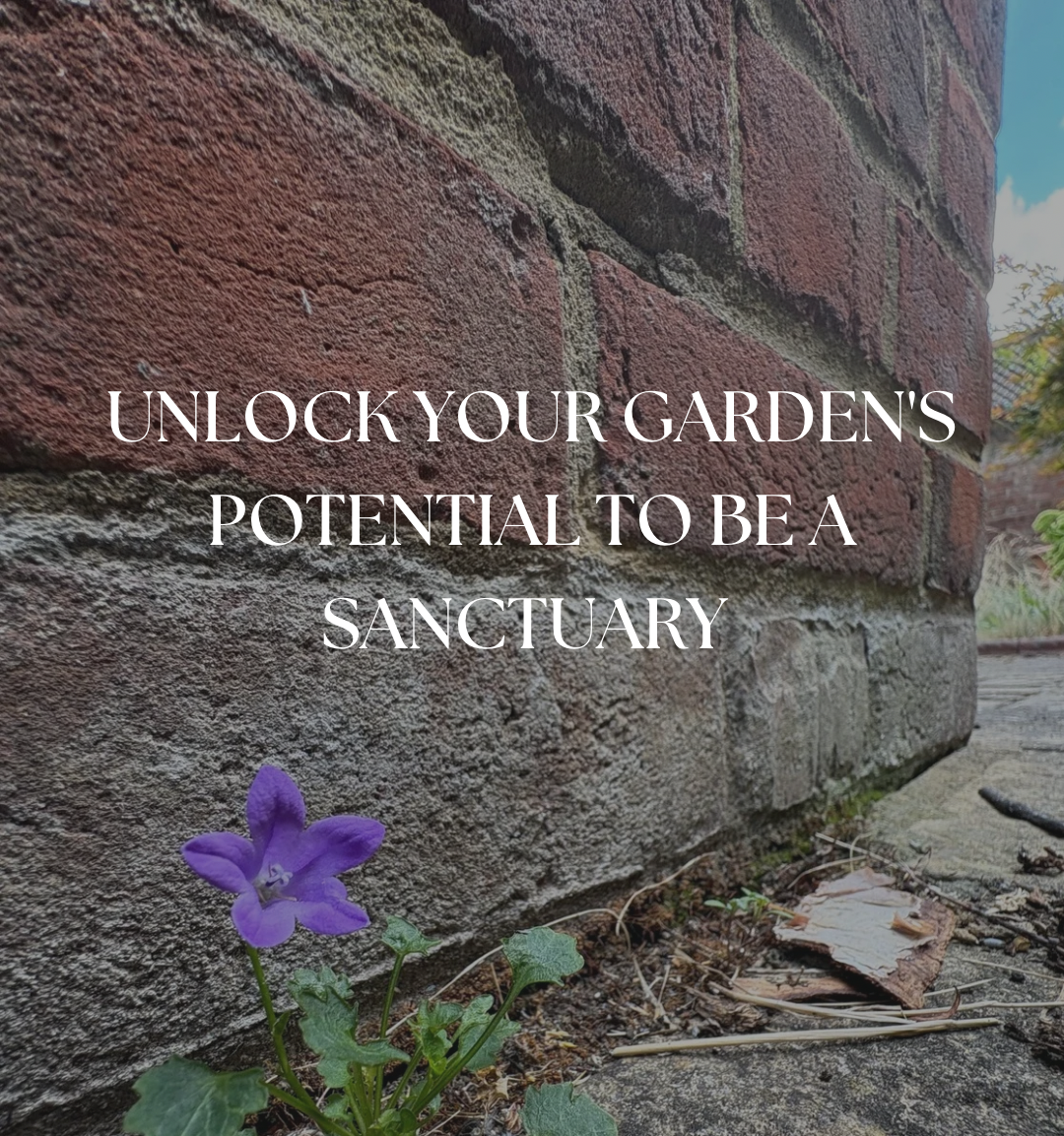 Unlock your garden's potential to be a sanctuary - Land Stewardship Drop In