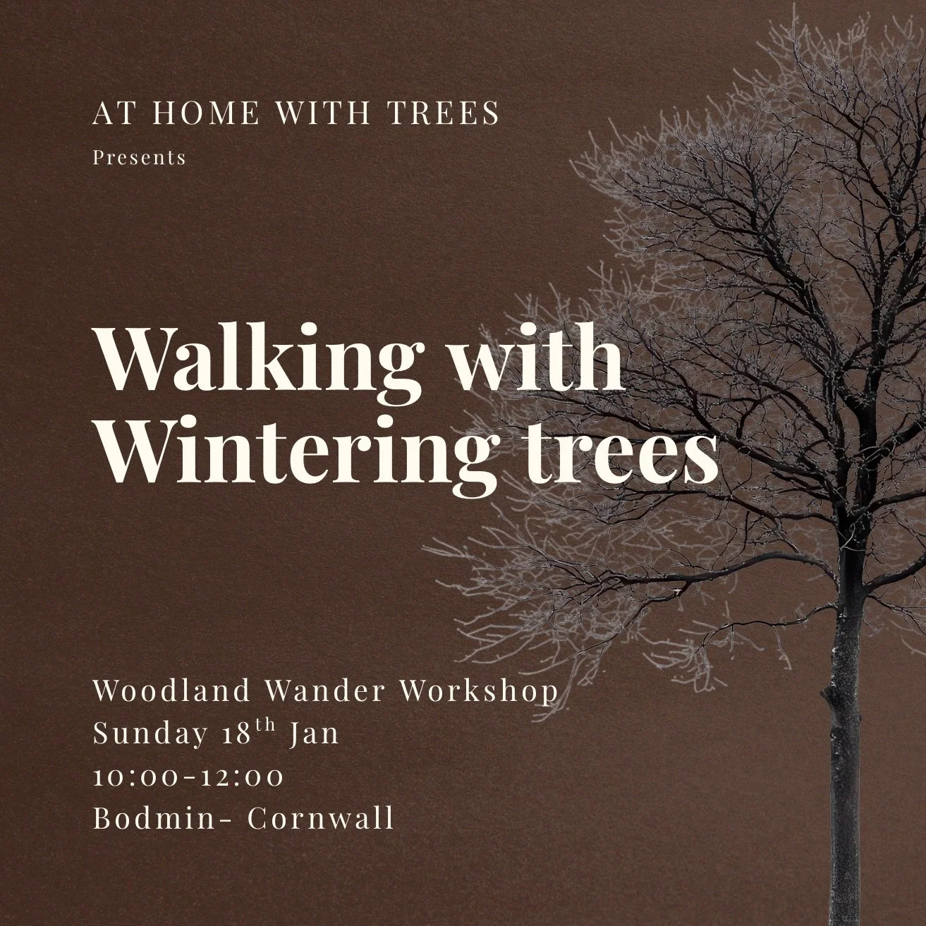 Walking With Wintering Trees - Bodmin