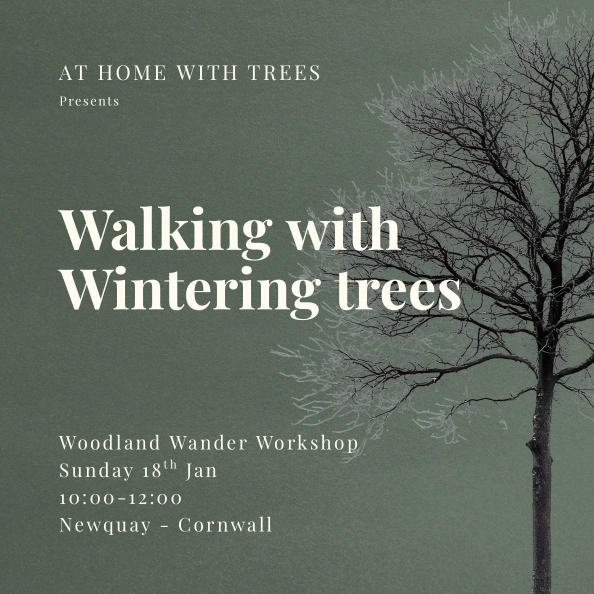 Walking With Wintering Trees - (One Day Workshop Newquay)