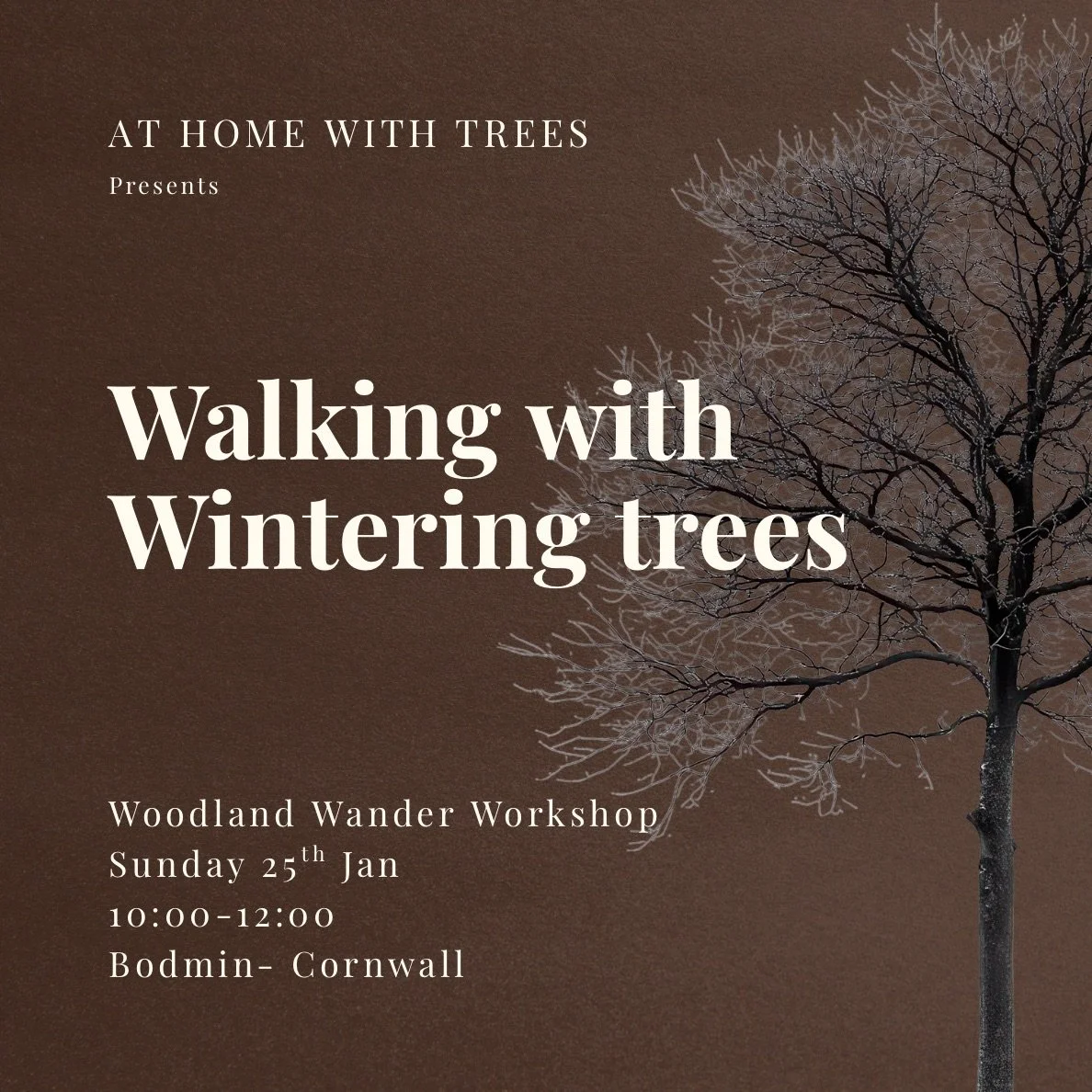 Walking With Wintering Trees - (One Day Workshop Bodmin)