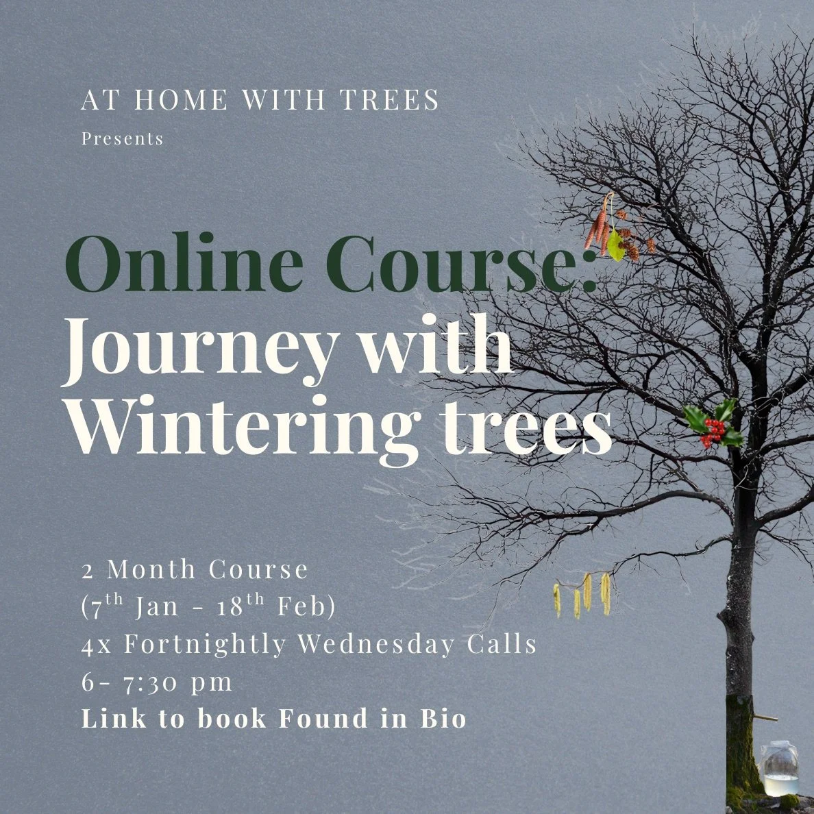  Journey with Wintering Trees (2-month online Course) 