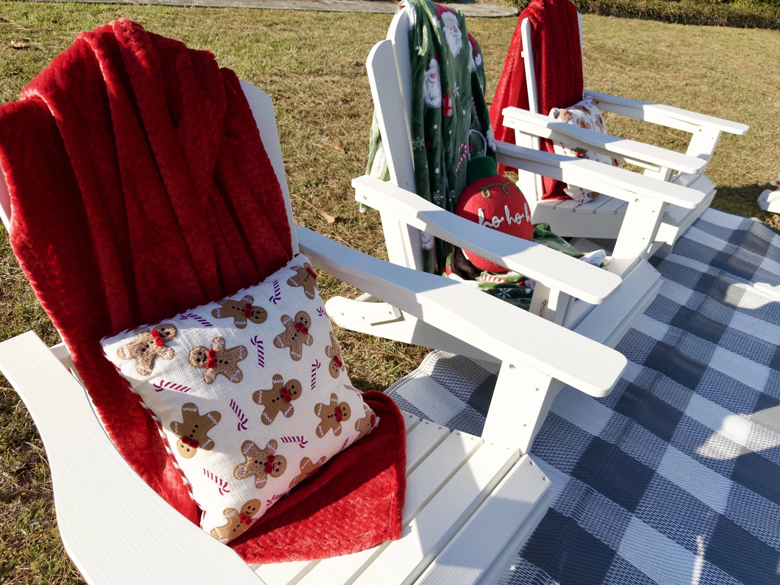 Reeflex-08112025151433 2.jpg