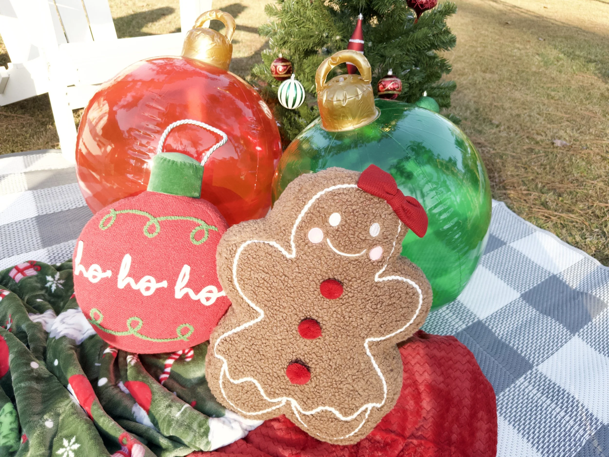 Reeflex-08112025155026 2.jpg