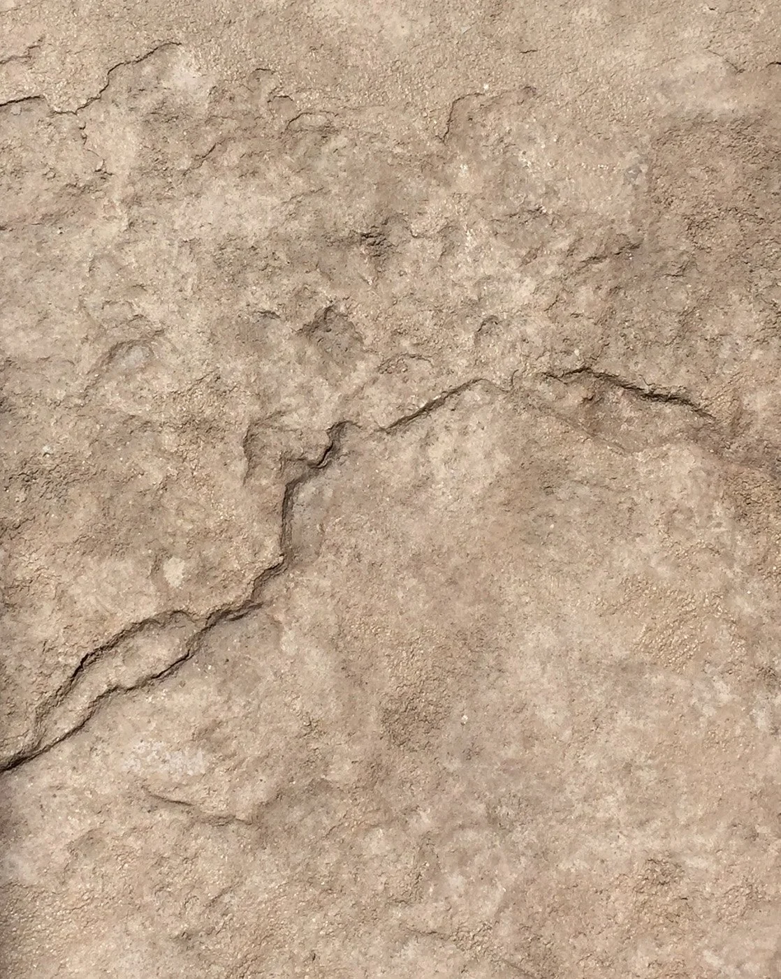 Stamped Concrete Logo