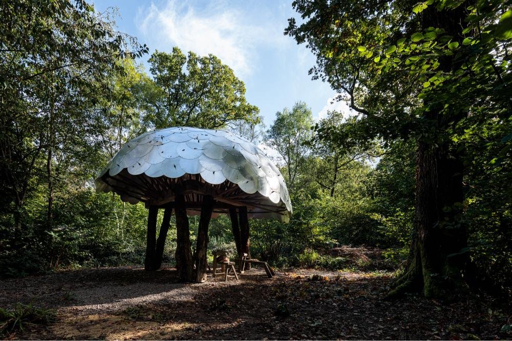 20231013_woodworking_shelter_0238.jpg