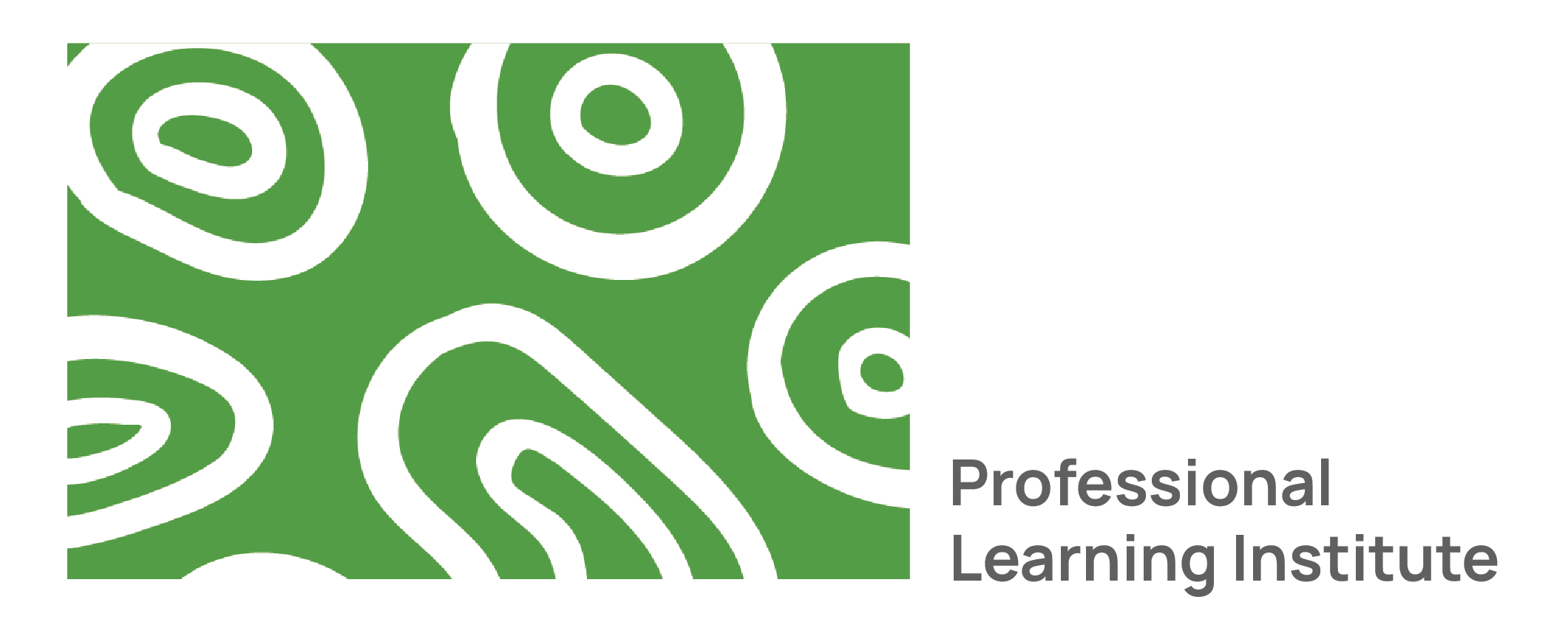 Cognitive Coaching Foundation - Professional Learning Institute