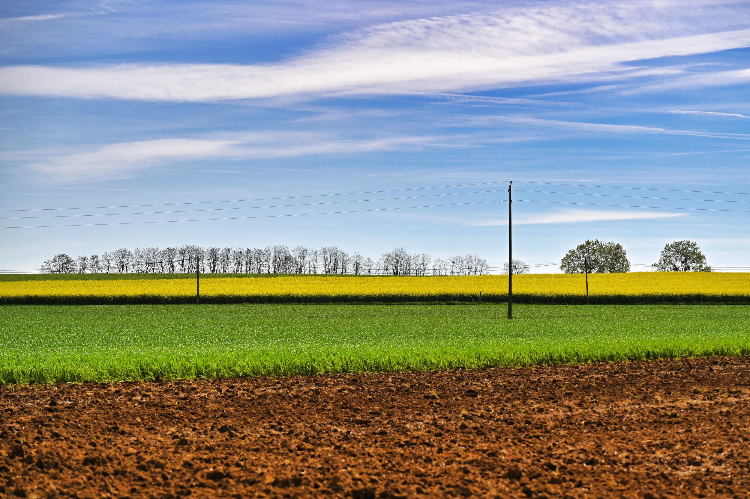 Champ agricole avec différentes parcelles de cultures vertes et jaunes, lignes électriques, arbres au fond et ciel partiellement nuageux.
