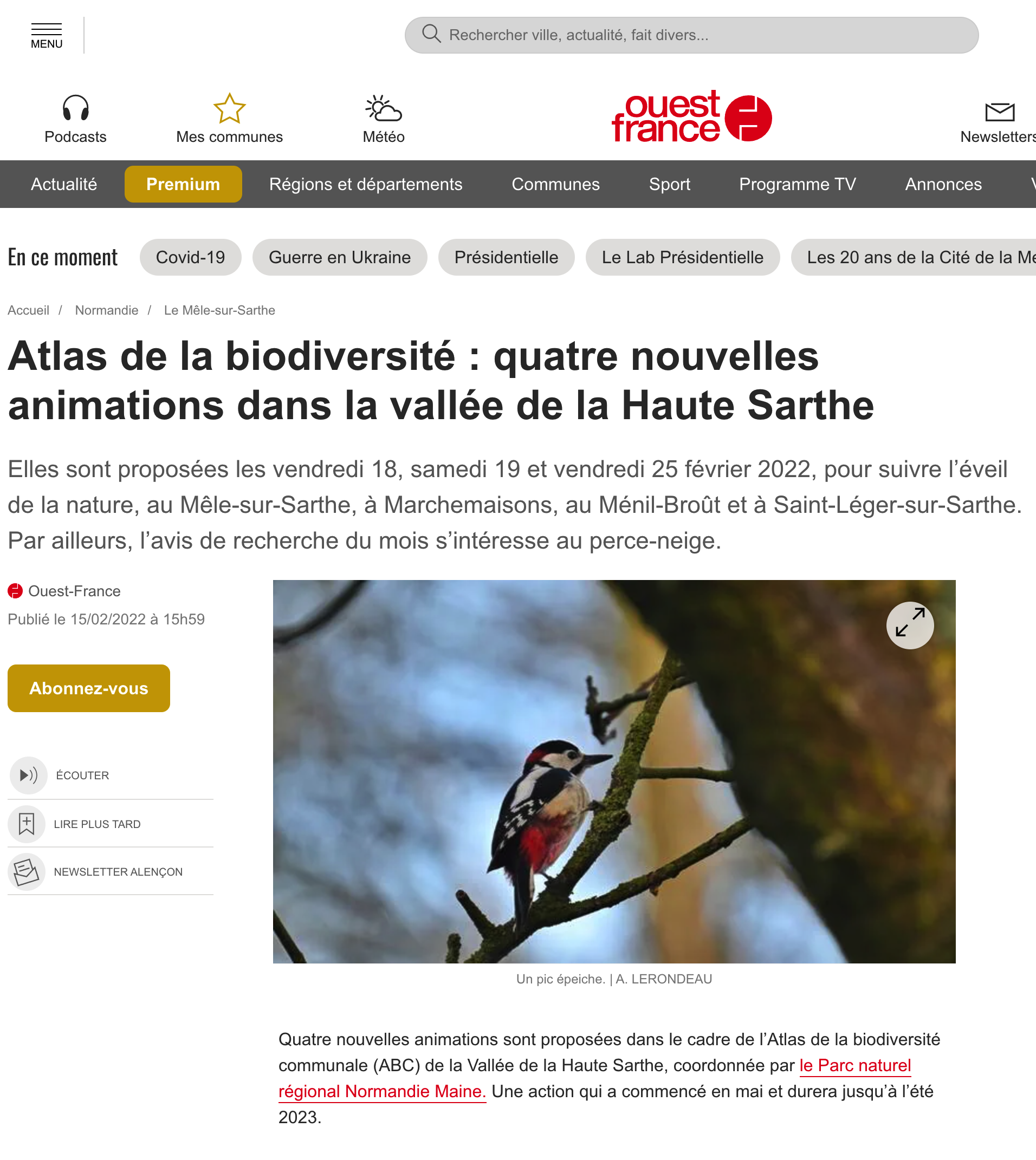 Un pic épicé. Deux️⃣ ou trois 🐦 perchés sur une branche au début du printemps.