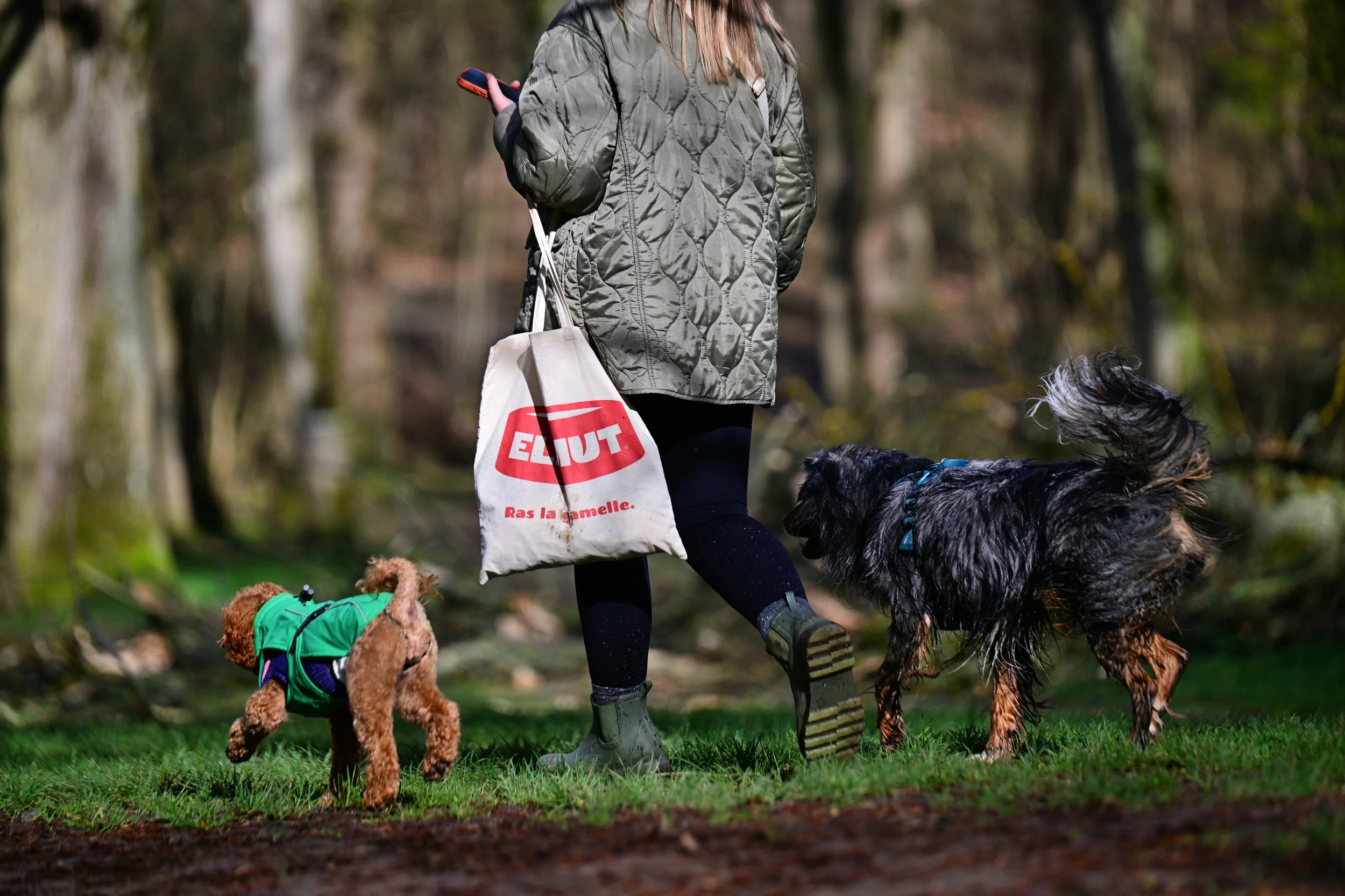 Une personne qui marche dans une forêt avec deux chiens, portant un sac avec le logo Eliut. La personne porte une veste gris-vert et des bottes.