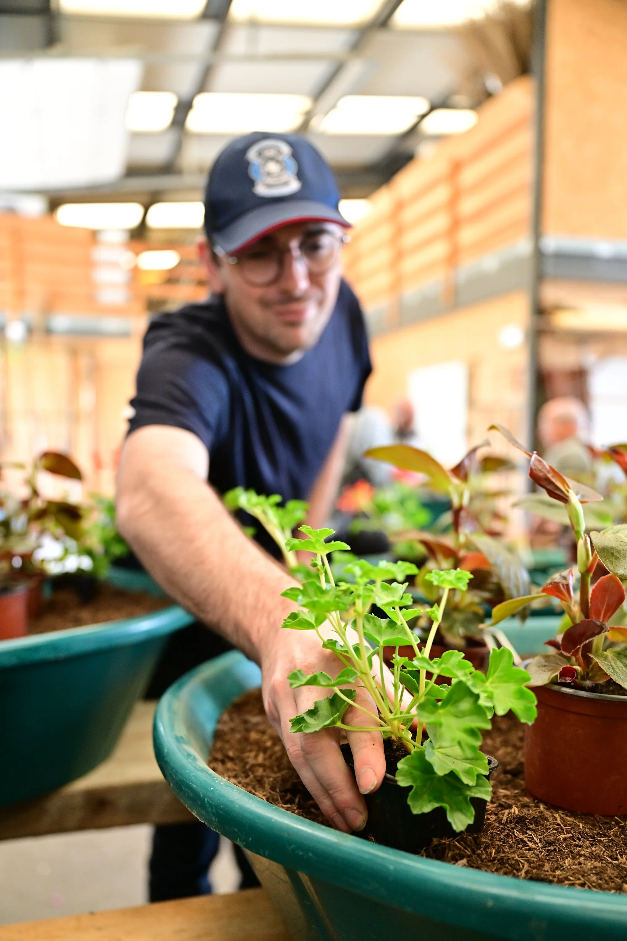 Une personne en train de planter une petite plante verte dans un pot de terre dans un environnement intérieur, avec d'autres plantes dans des pots autour.