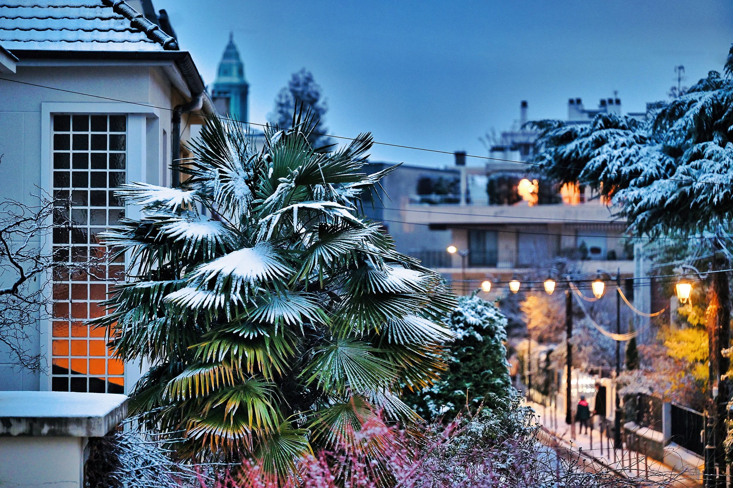 Une scène urbaine enneigée au crépuscule avec un bâtiment à dôme, des maisons, des arbres recouverts de neige et des lumières allumées. Un palmier et des buissons avec de la neige en premier plan.