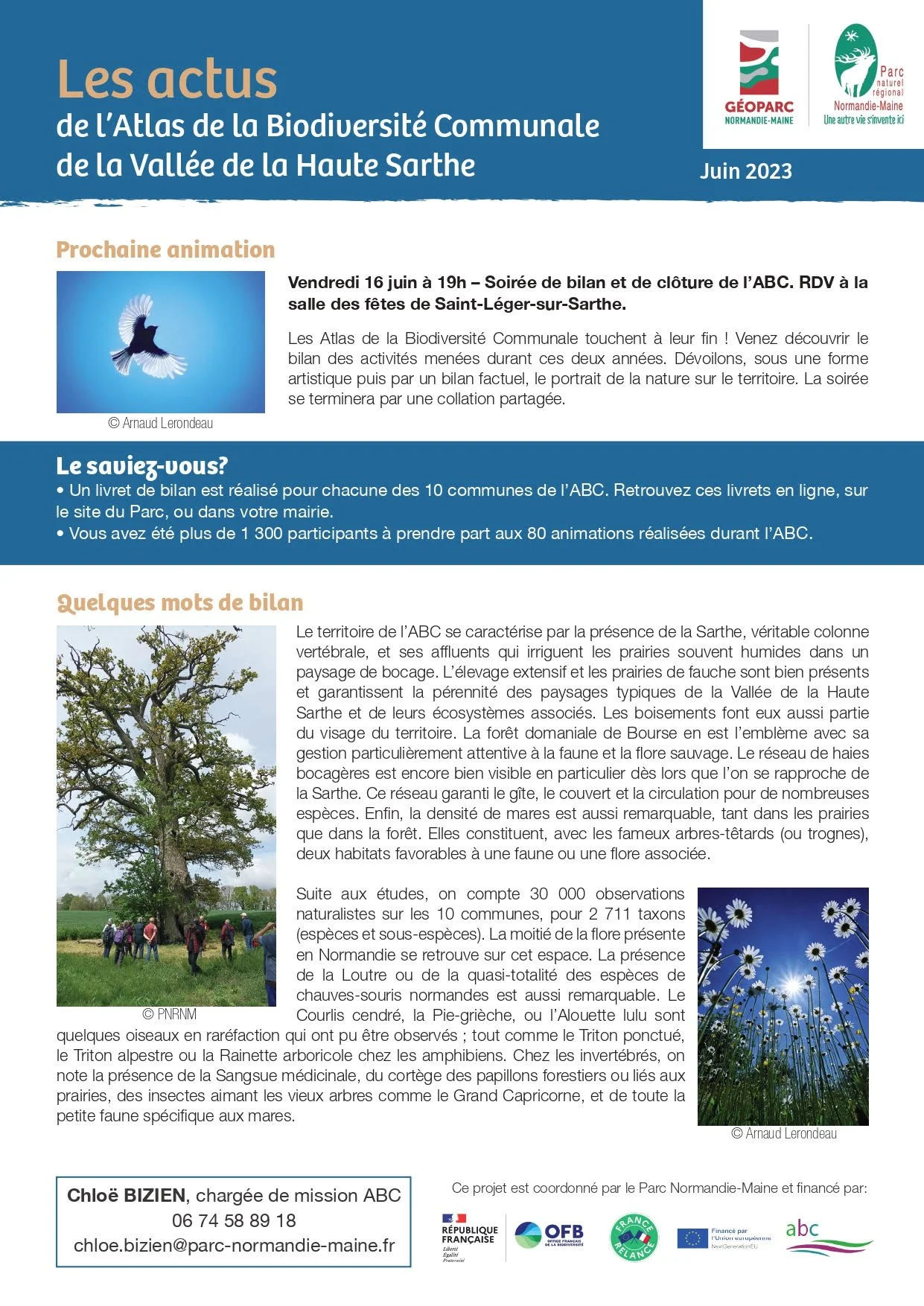 Document informatif sur la biodiversité de la vallée de la Haute Sarthe, avec une illustration d'un oiseau bleu volant, une photo d'un arbre grand avec un groupe de personnes en dessous, et une photo de fleurs bleues. L'affiche mentionne une animatio