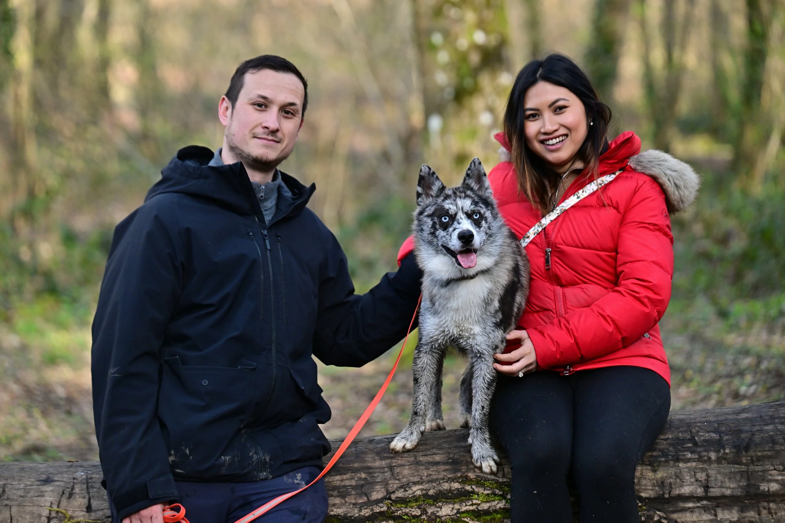 Deux personnes, un homme et une femme, tiennent un husky aux yeux bleus dans une forêt pendant l'automne, tous souriant. La femme porte une veste rouge avec une fourrure au capuchon, et l'homme une veste noire.
