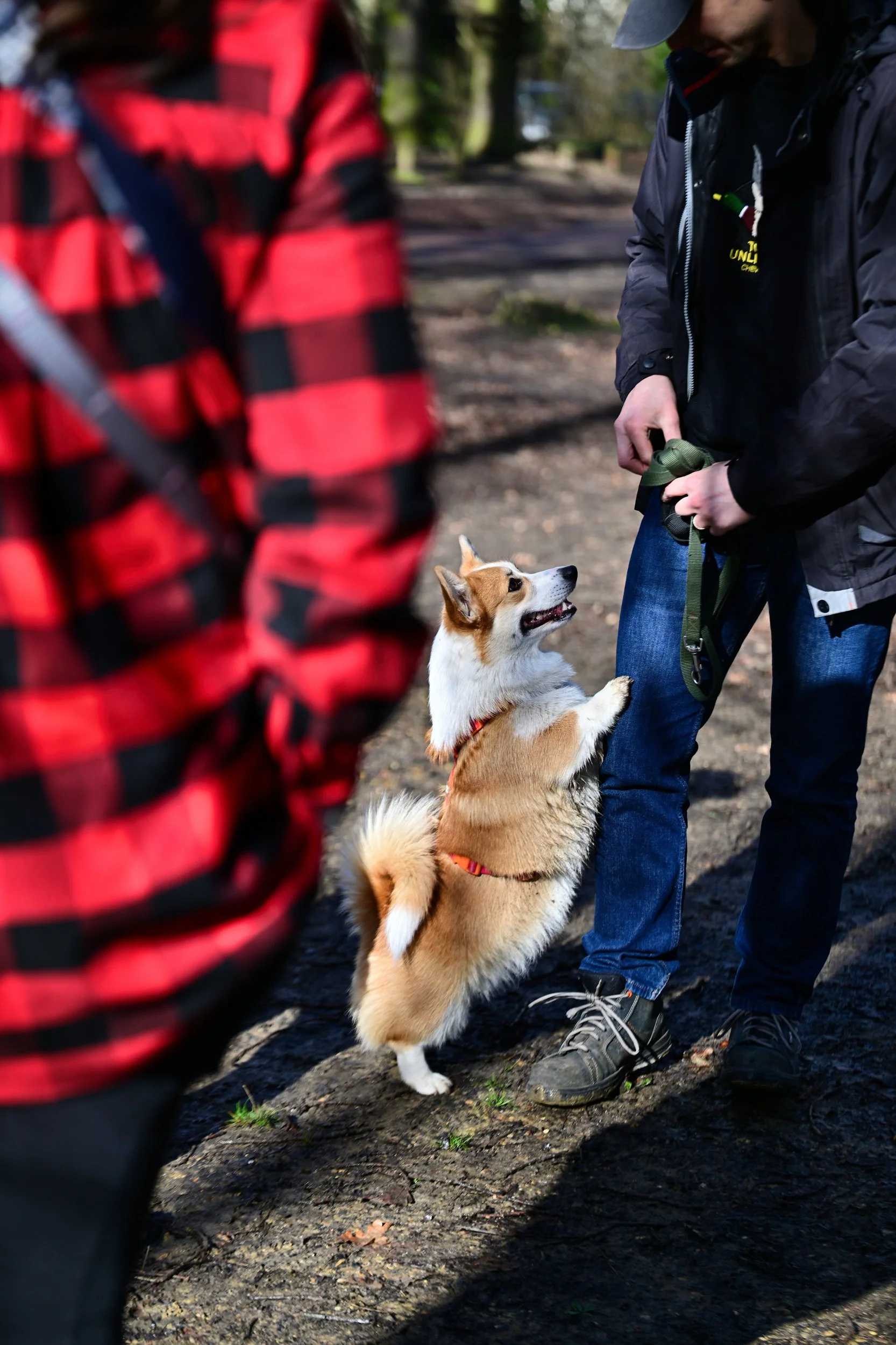 Deux personnes et un chien, dans un parc ou une forêt, la personne à droite tient une laisse pour chien, le chien regarde la personne et se dresse sur ses pattes arrière, l'autre personne, à gauche, porte un vêtement à carreaux rouges et noirs.