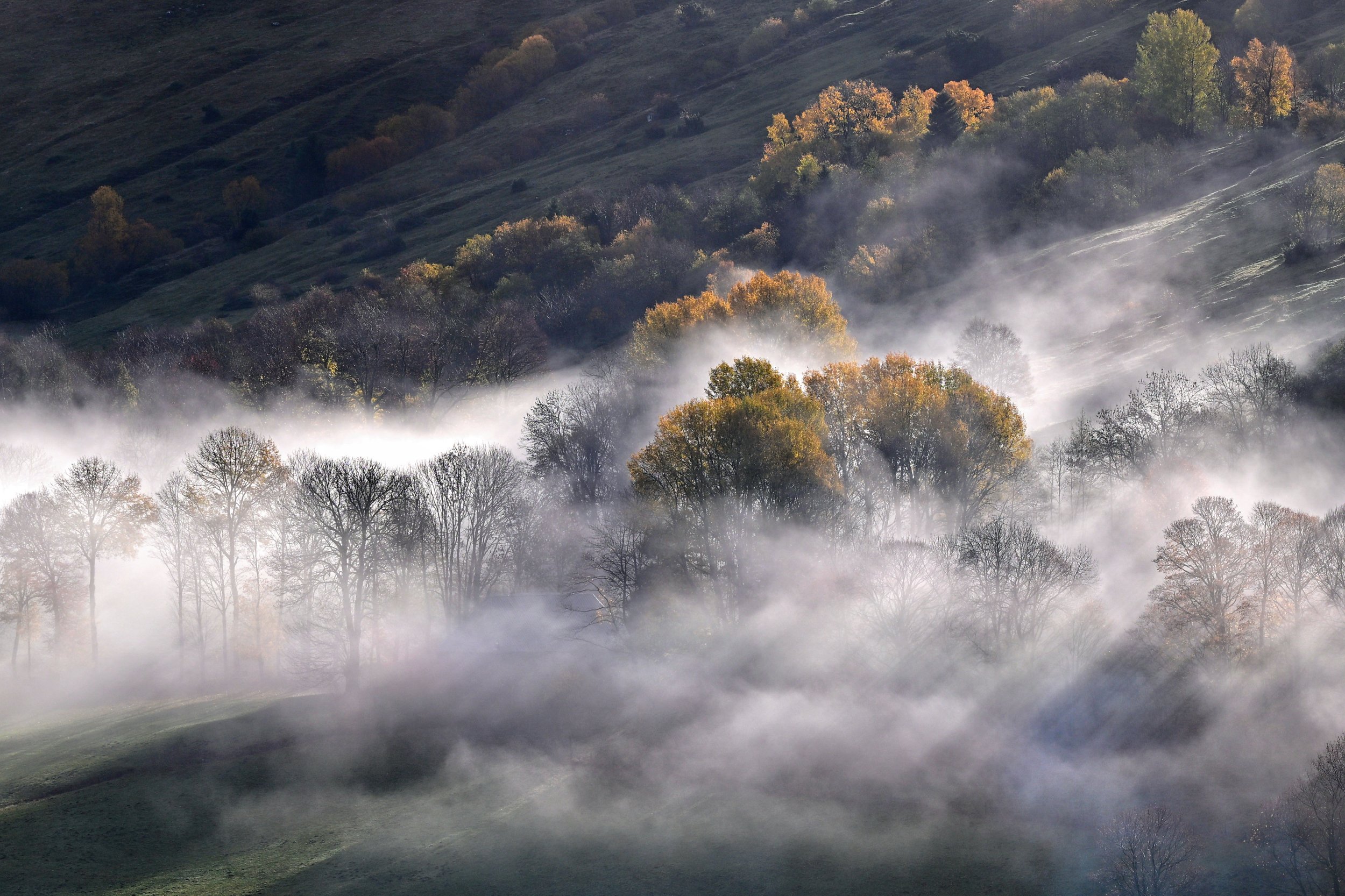Paysage de montagnes avec des arbres aux couleurs automnales et une légère brume.
