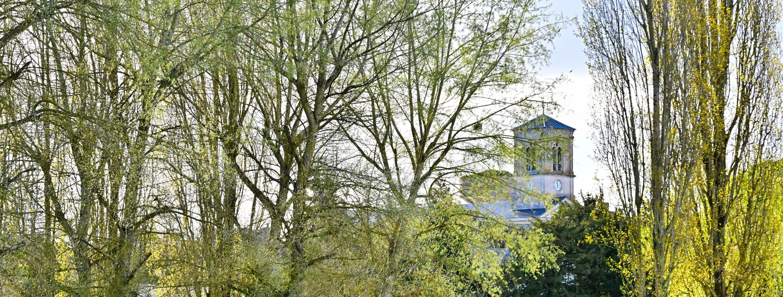 Horloge sur une tour d'église derrière des arbres feuillus au début du printemps.