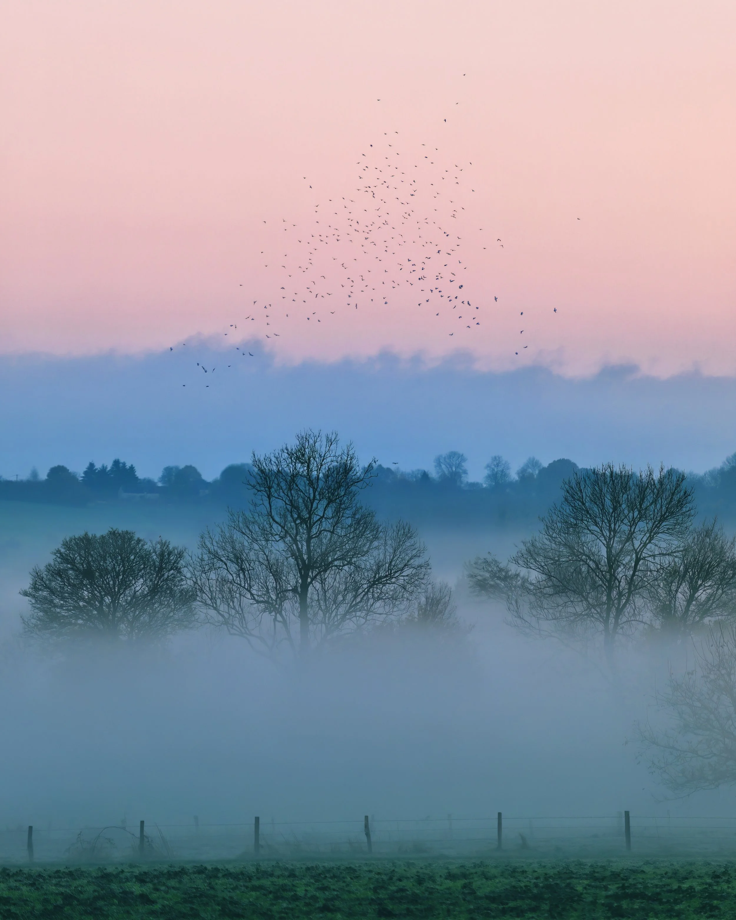 une ferme avec un champ vert au premier plan, une barrière en bois, un brouillard léger, des arbres dénudés, un ciel pastel rose et bleu avec des oiseaux volant en formation.