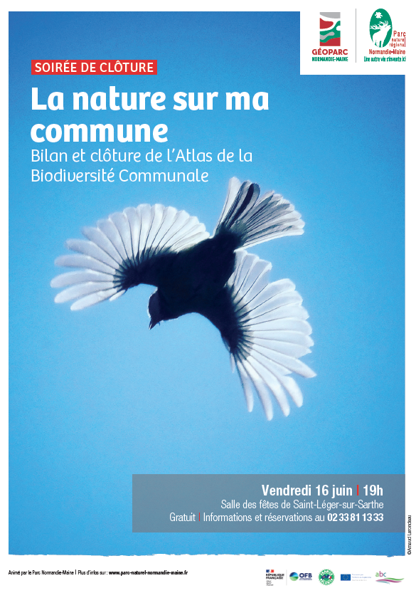 Affiche de sensibilisation à la biodiversité avec une image d'un oiseau en vol contre un ciel bleu, promotion d'une soirée de clôture sur la nature et la biodiversité dans le parc naturel Normandie-Maine.